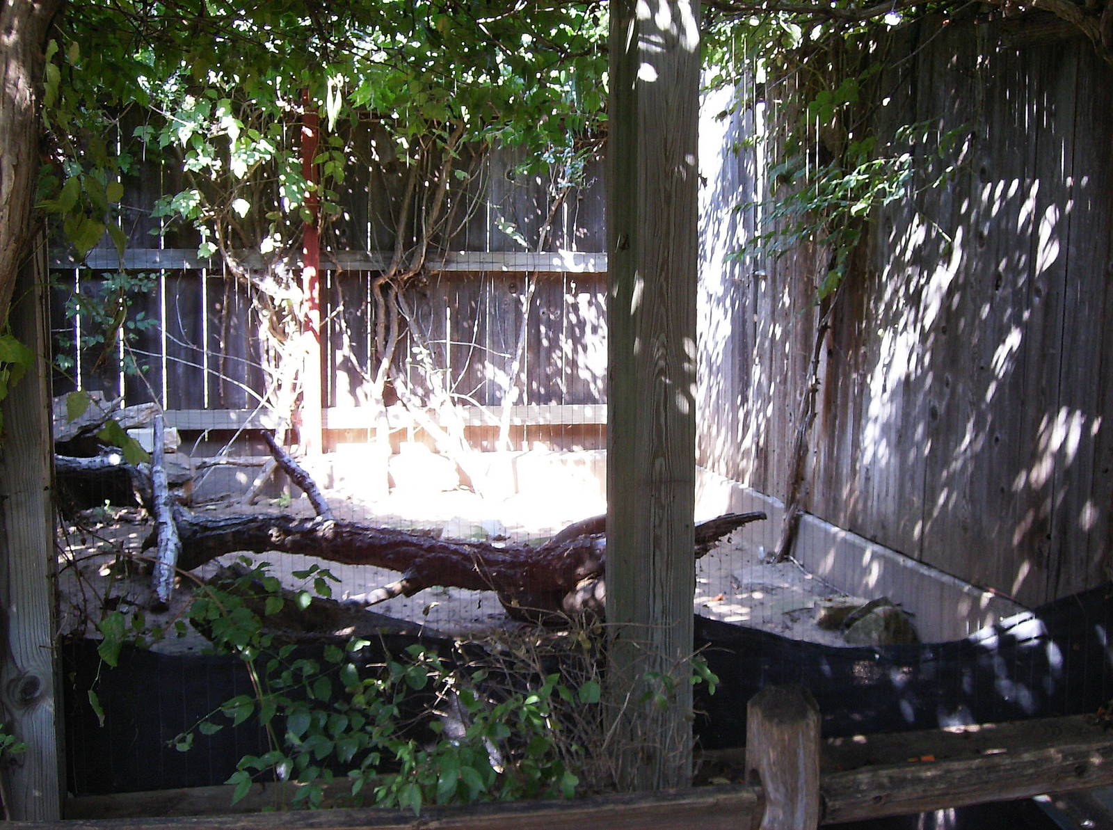 Native wildlife enclosure