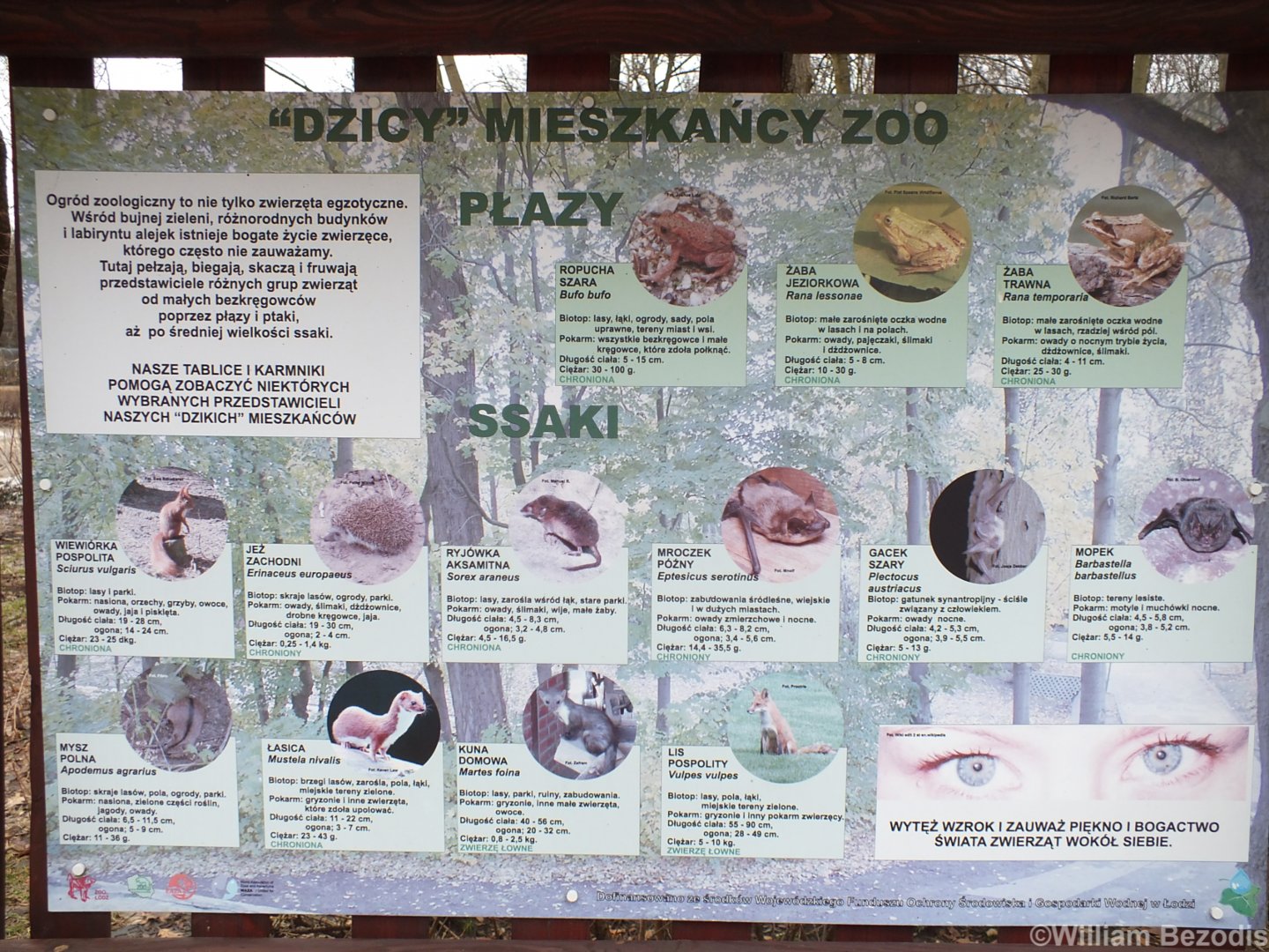 Native Wildlife Sign