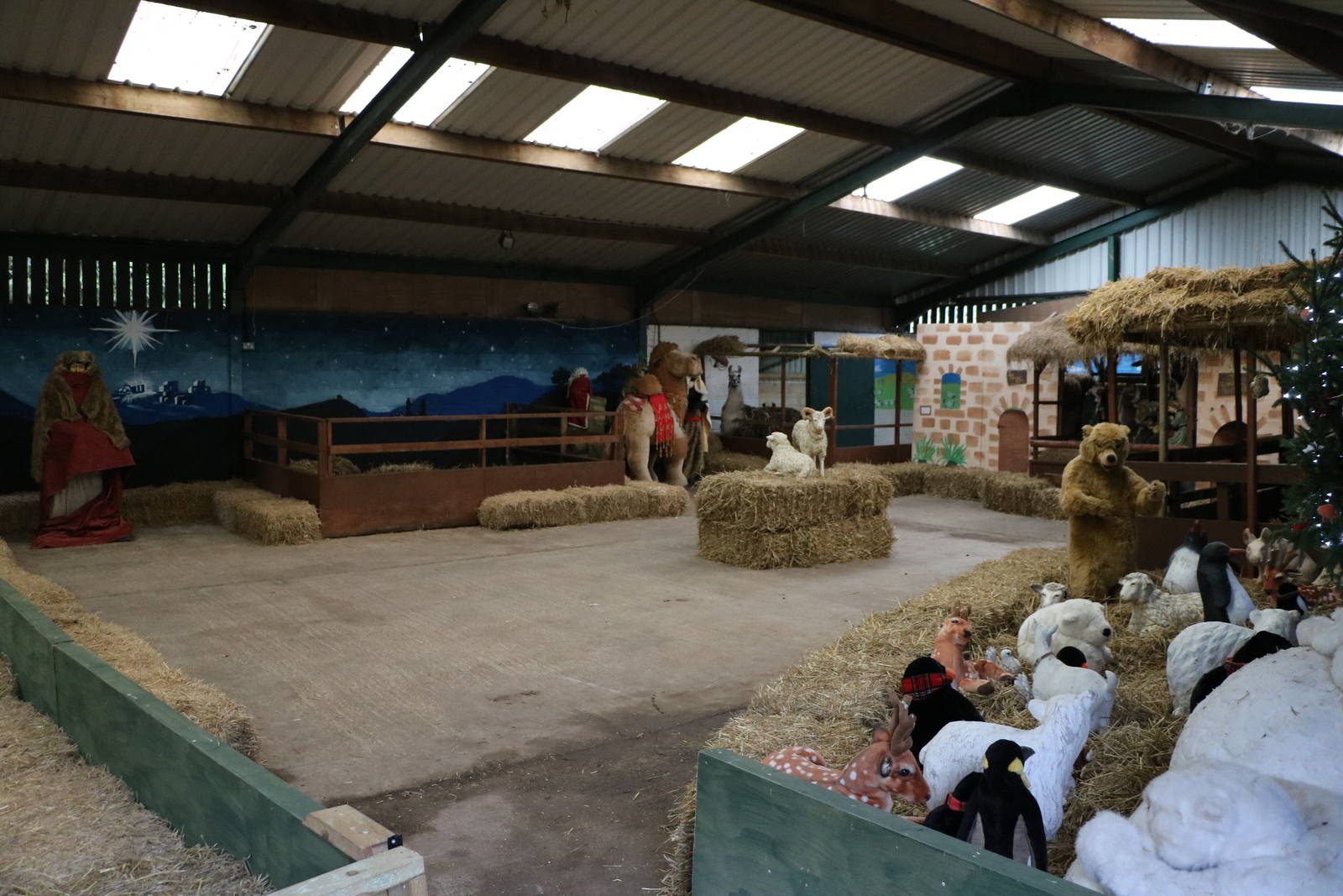 Nativity scene in the barn, November 2015