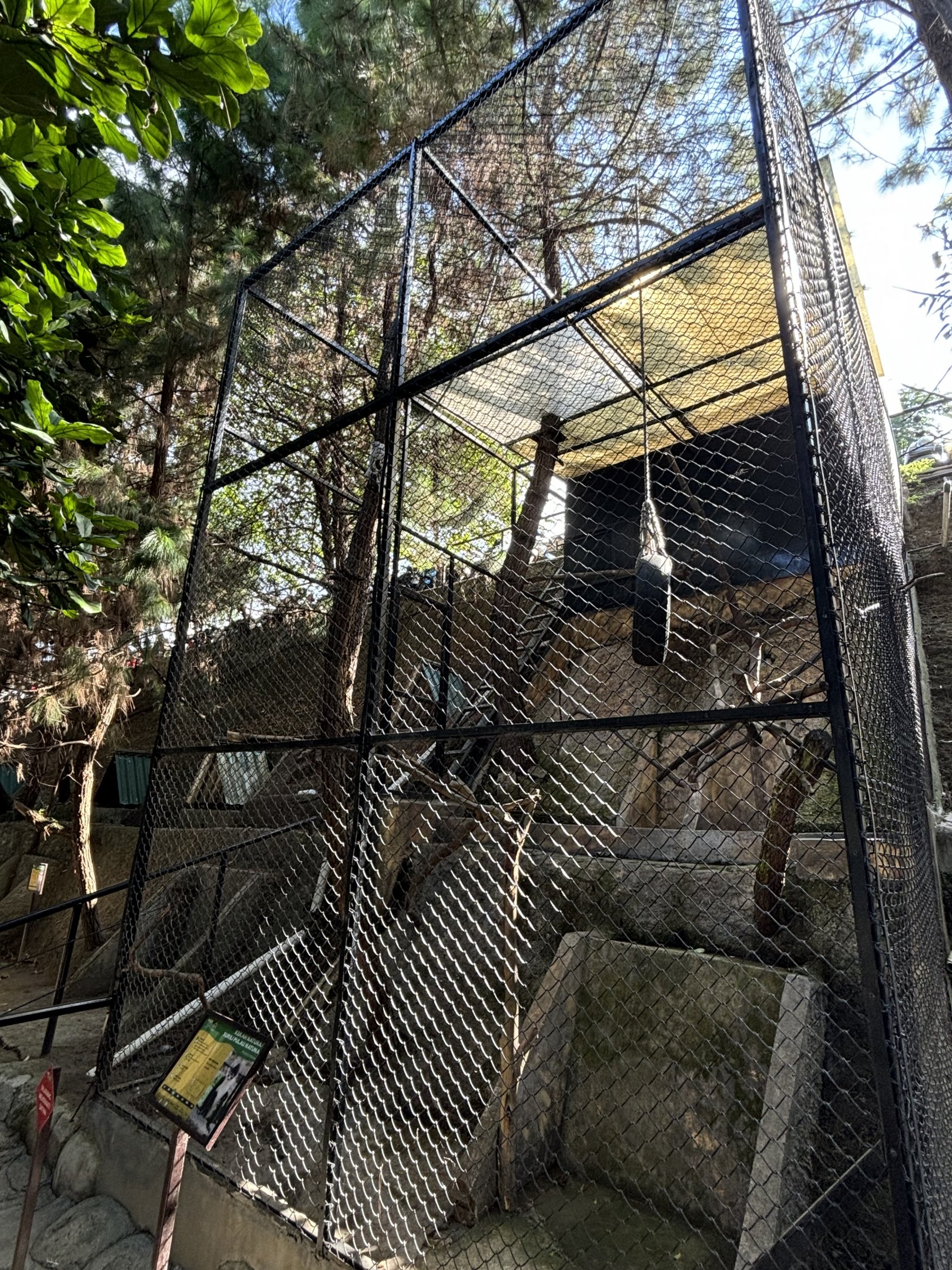 Natuna Island Surili Exhibit