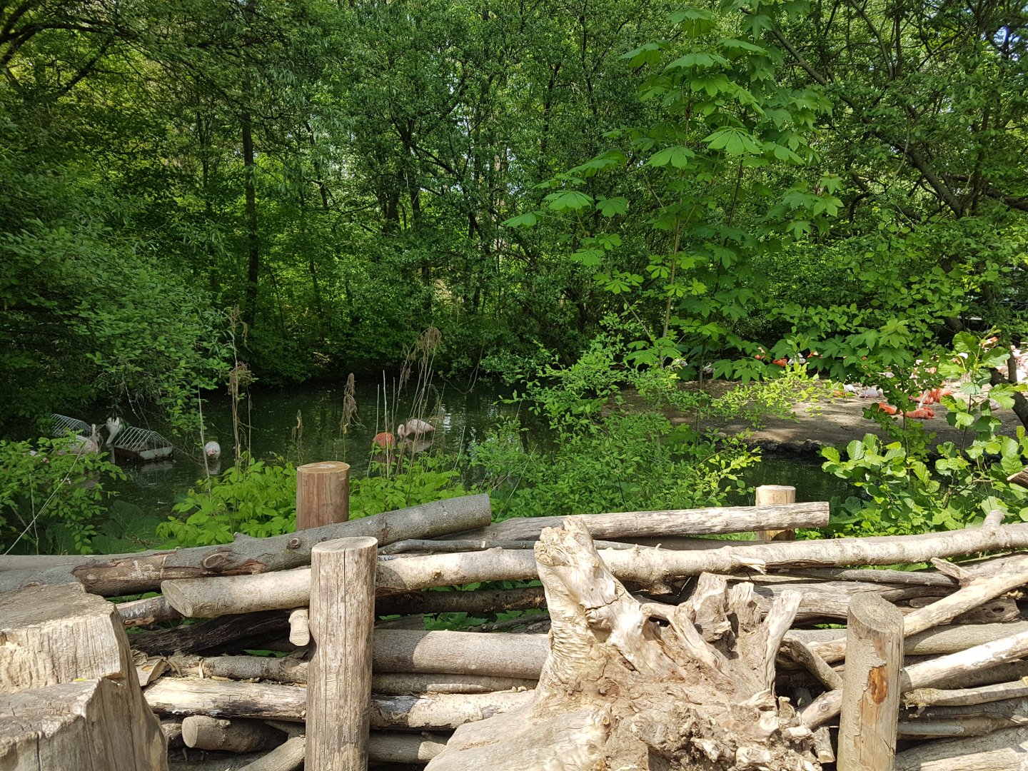 Natural Barrier for Flamingos