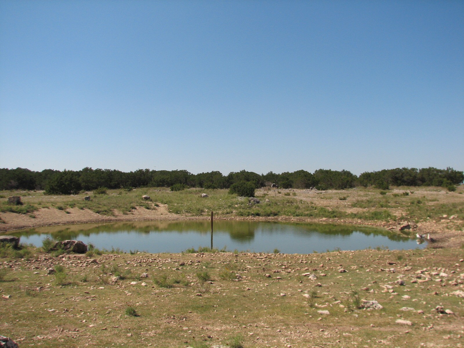 Natural Bridge Wildlife Ranch - Kenyan Preserve