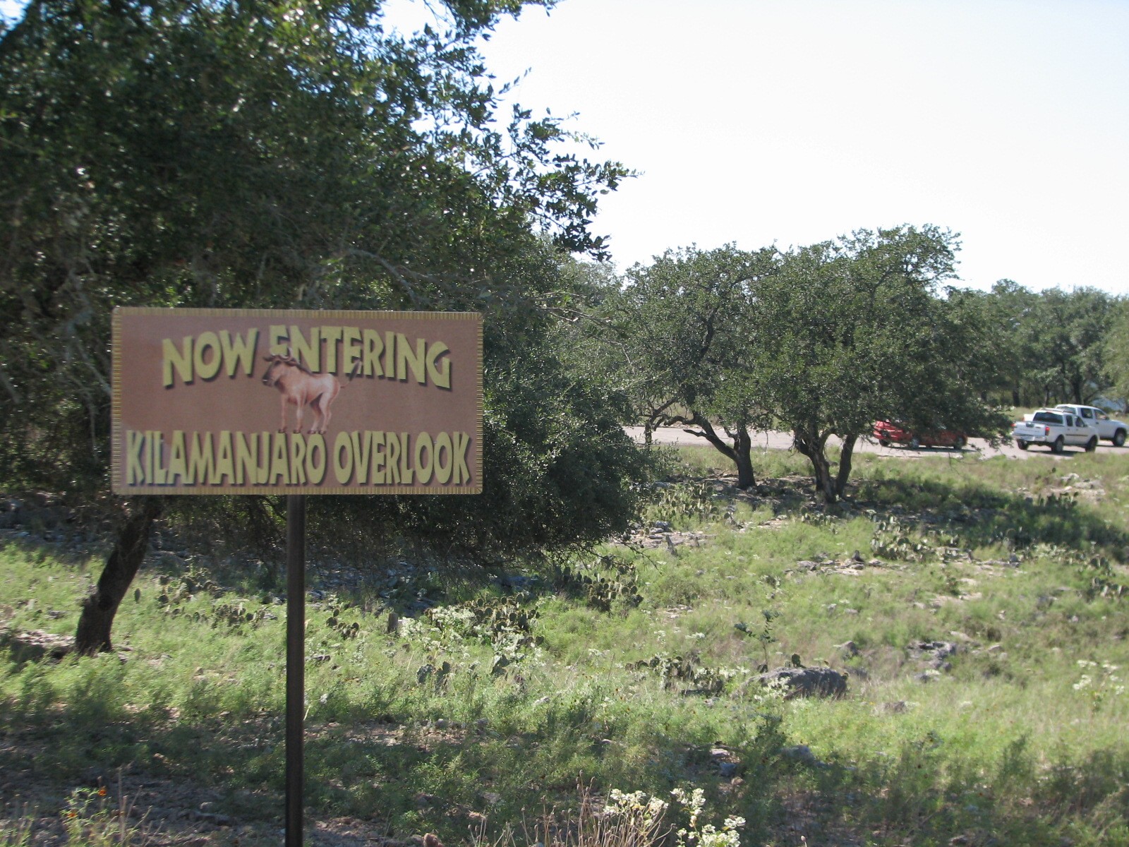 Natural Bridge Wildlife Ranch - Tatonka Range - Kilamanjaro Overlook