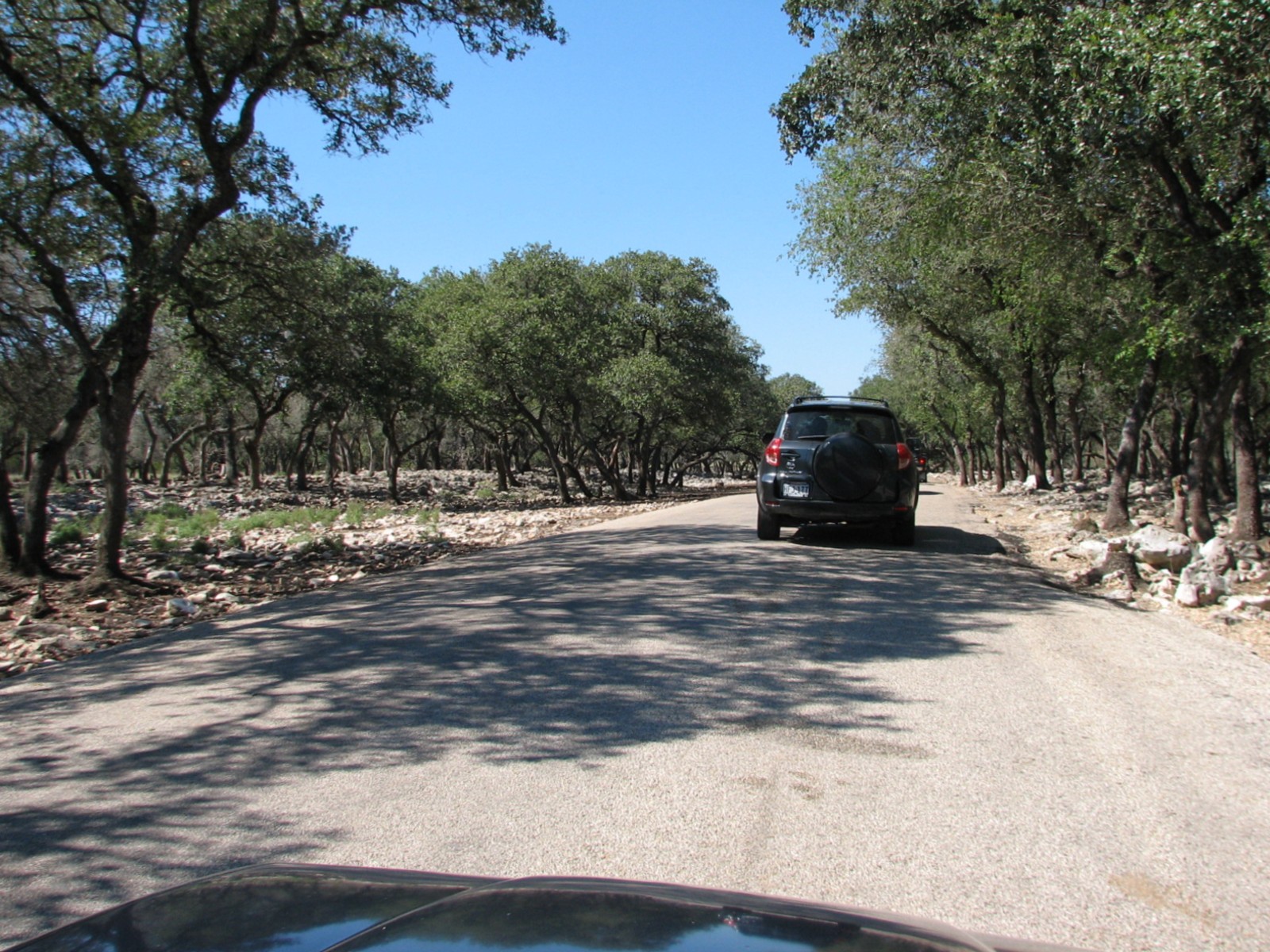 Natural Bridge Wildlife Ranch - Tatonka Range