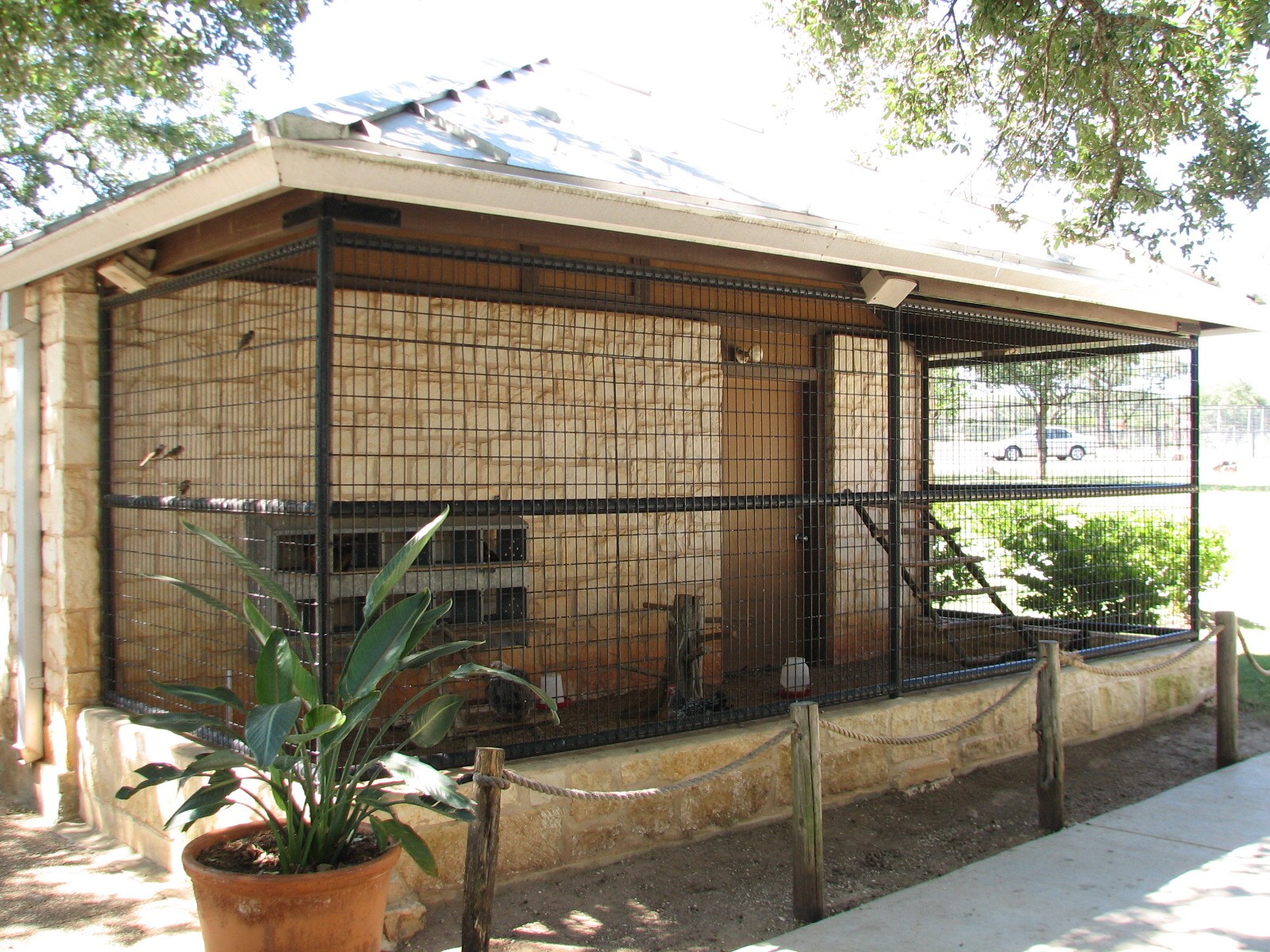 Natural Bridge Wildlife Ranch - Walk-A-Bout - Chicken Exhibit