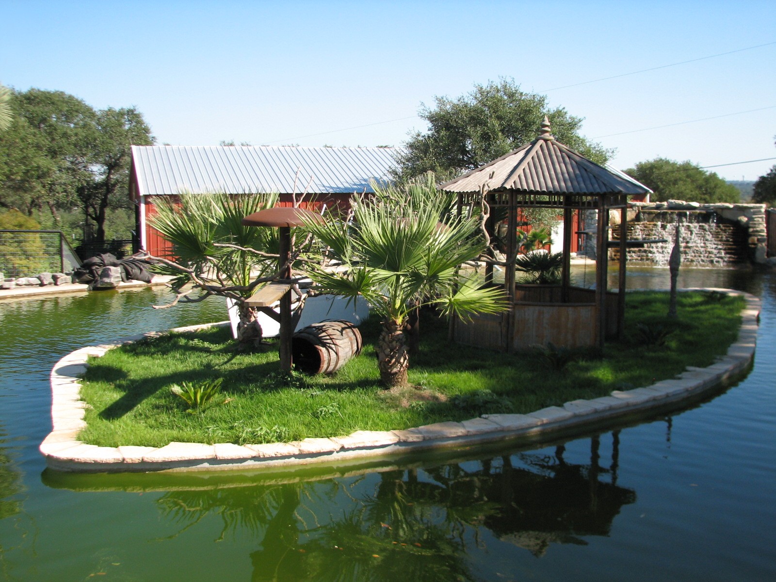 Natural Bridge Wildlife Ranch - Walk-A-Bout - Ring-tailed Lemur Exhibit
