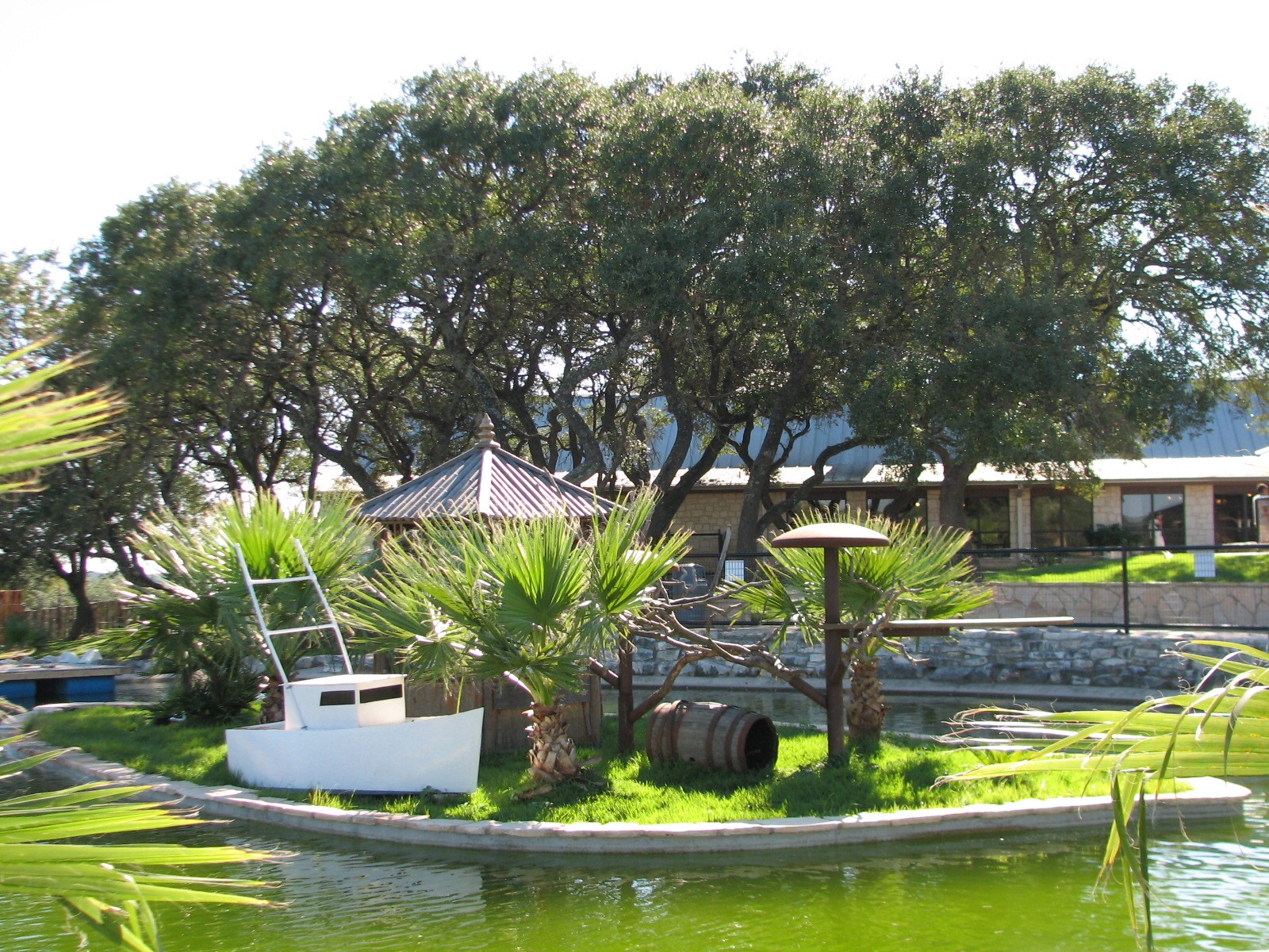 Natural Bridge Wildlife Ranch - Walk-A-Bout - Ring-tailed Lemur Exhibit