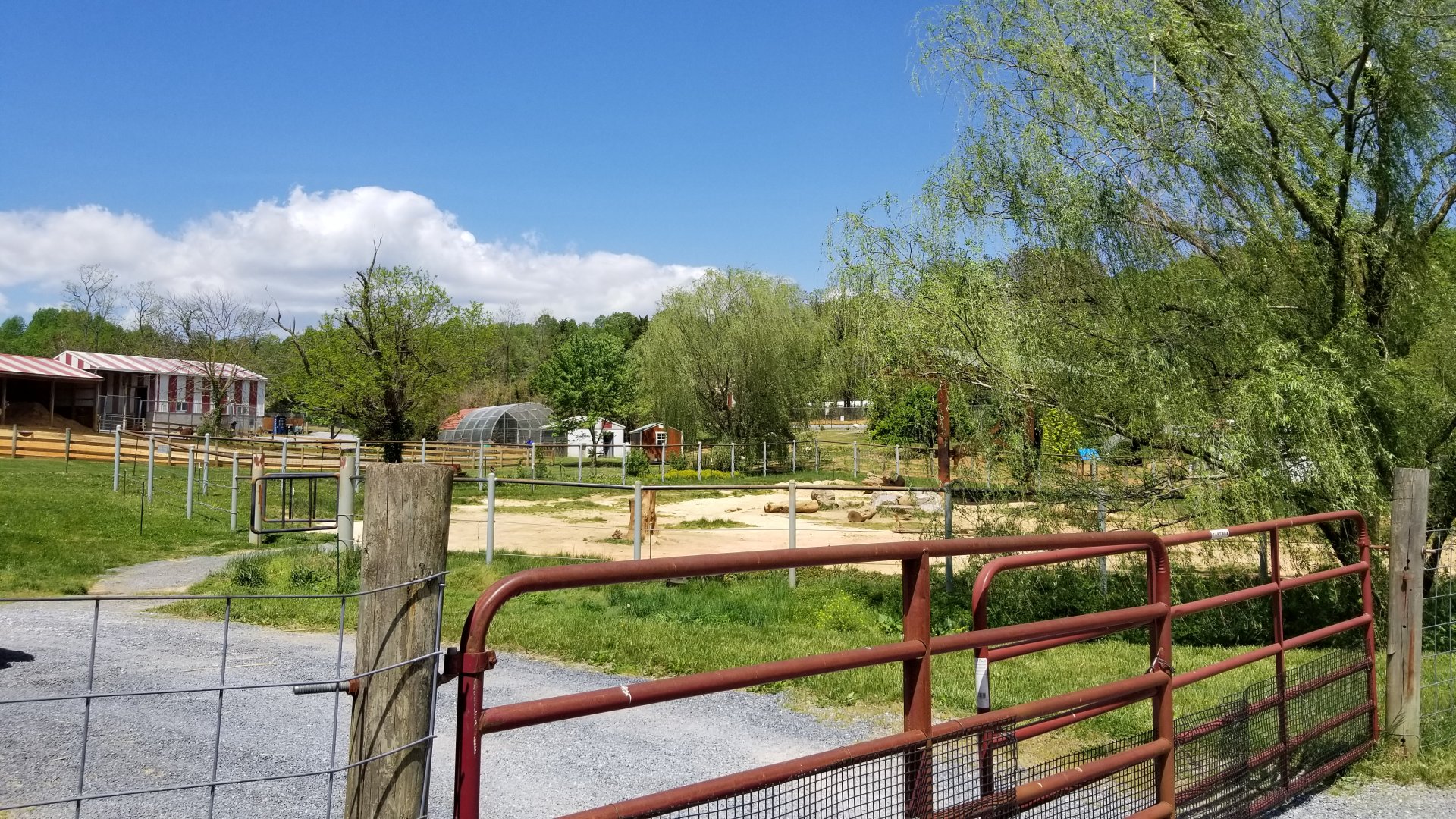 Natural Bridge Zoo - African elephant yard