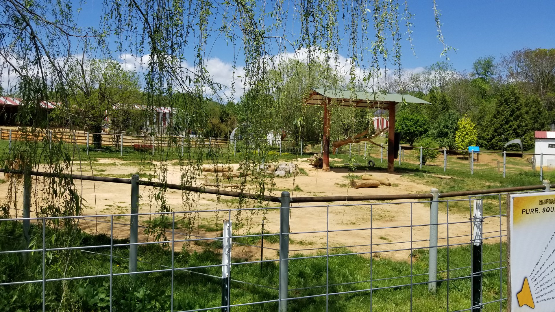 Natural Bridge Zoo - African elephant yard