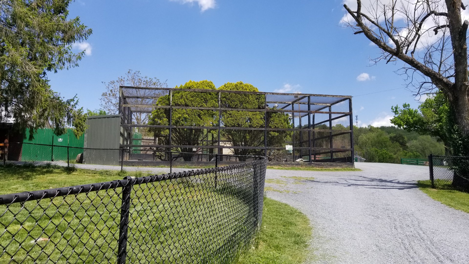Natural Bridge Zoo - Aviary