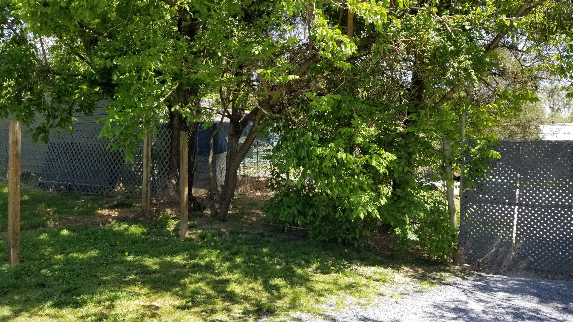 Natural Bridge Zoo - "Breeding area"