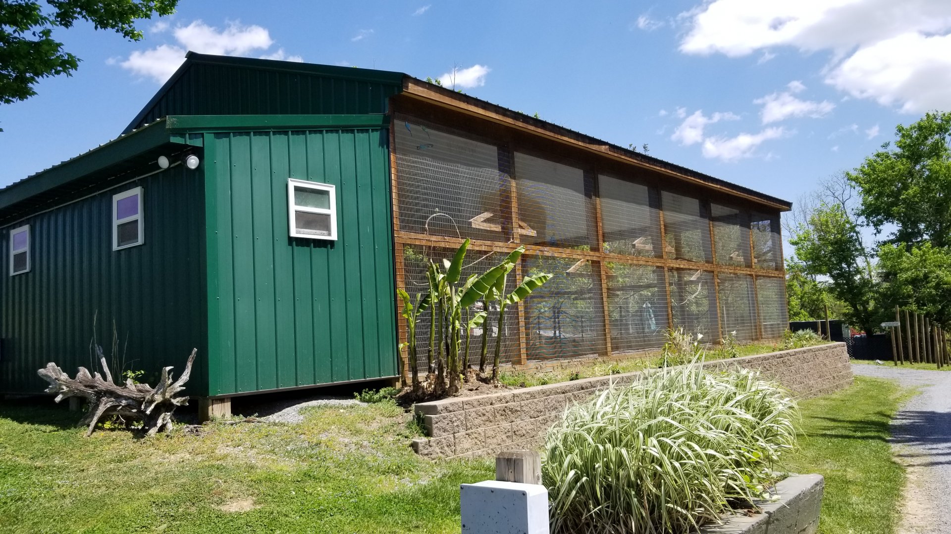 Natural Bridge Zoo - Budgie aviary