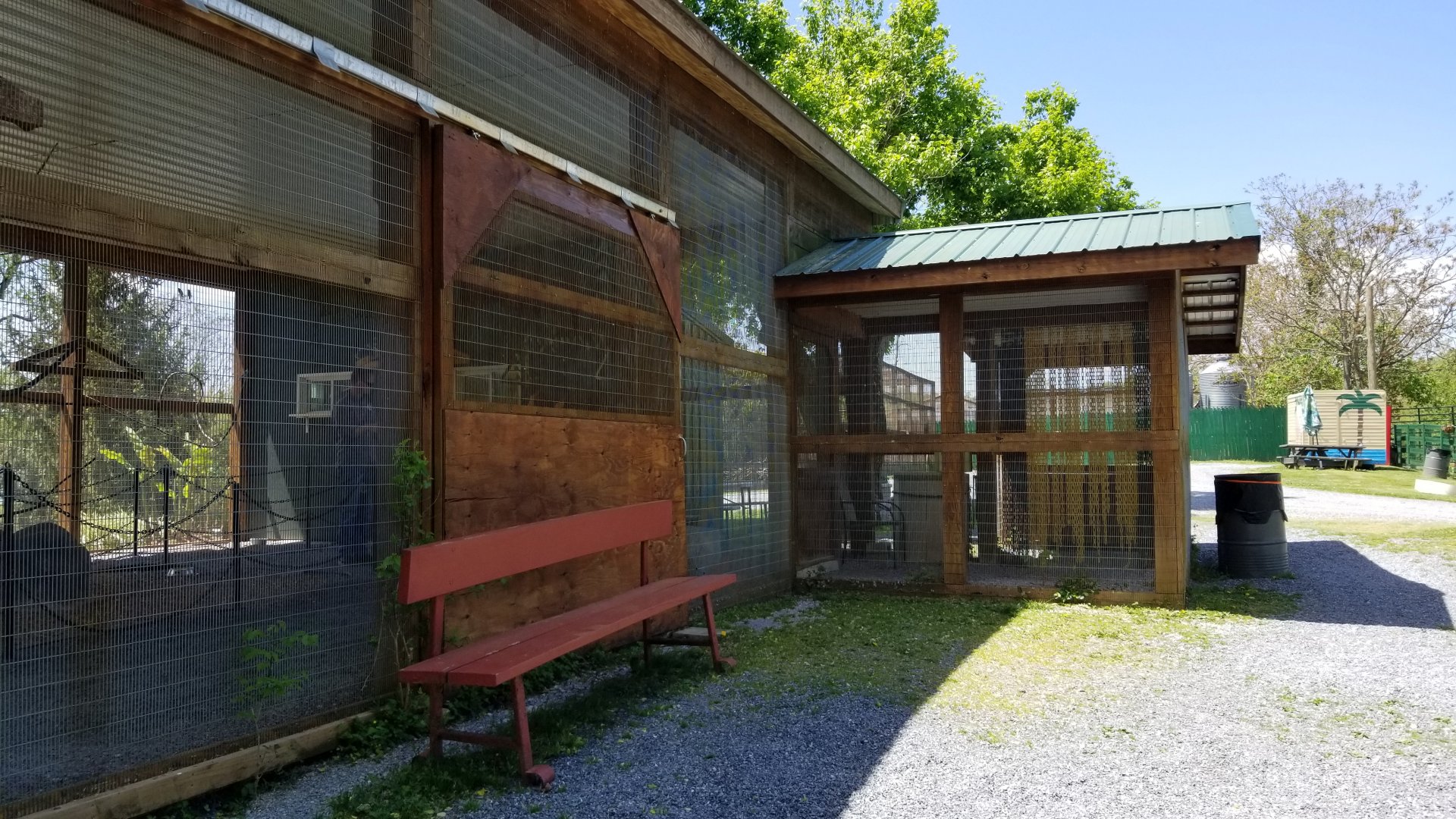 Natural Bridge Zoo - Budgie aviary