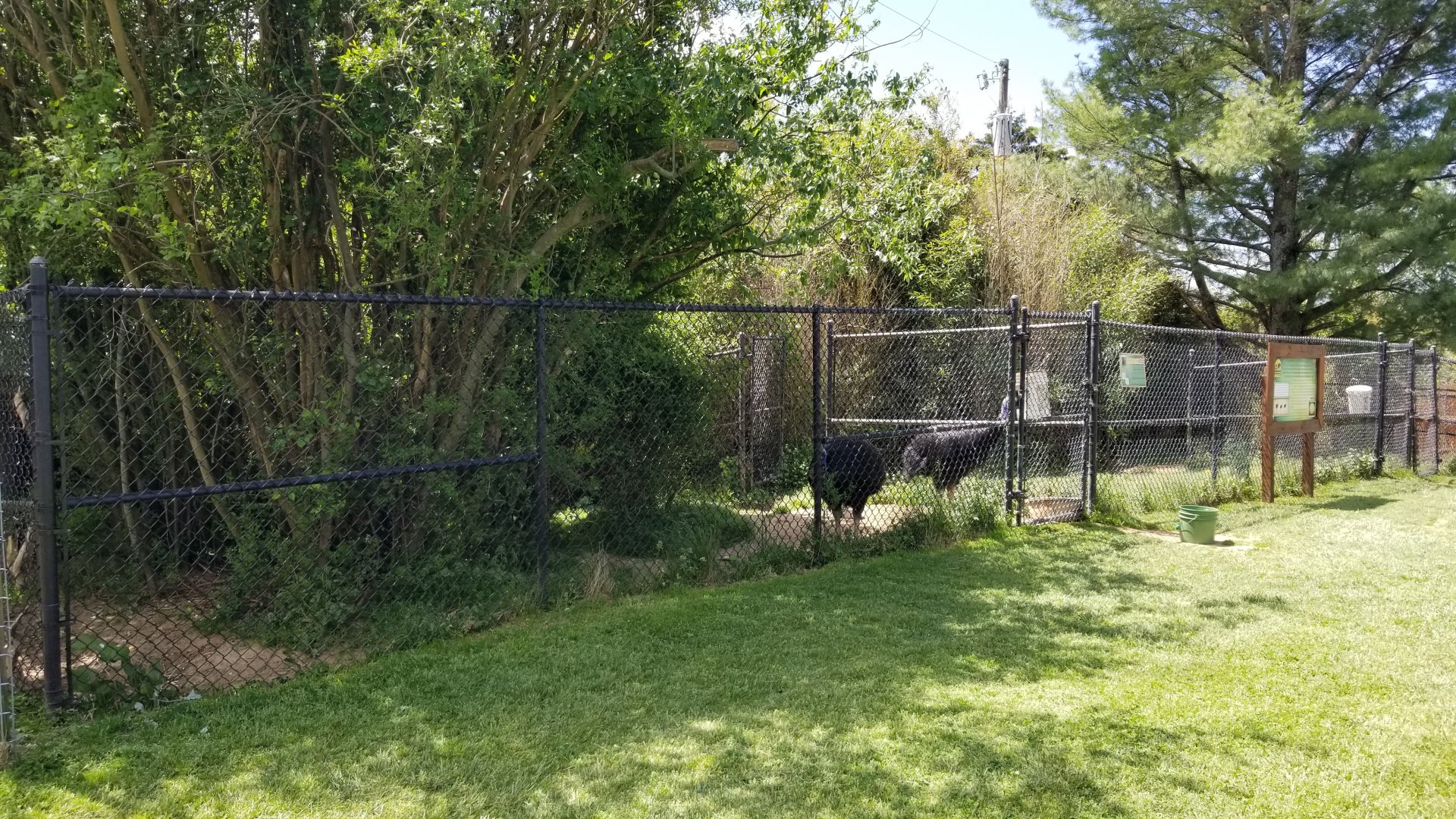 Natural Bridge Zoo - Cassowary exhibit #1 of 2