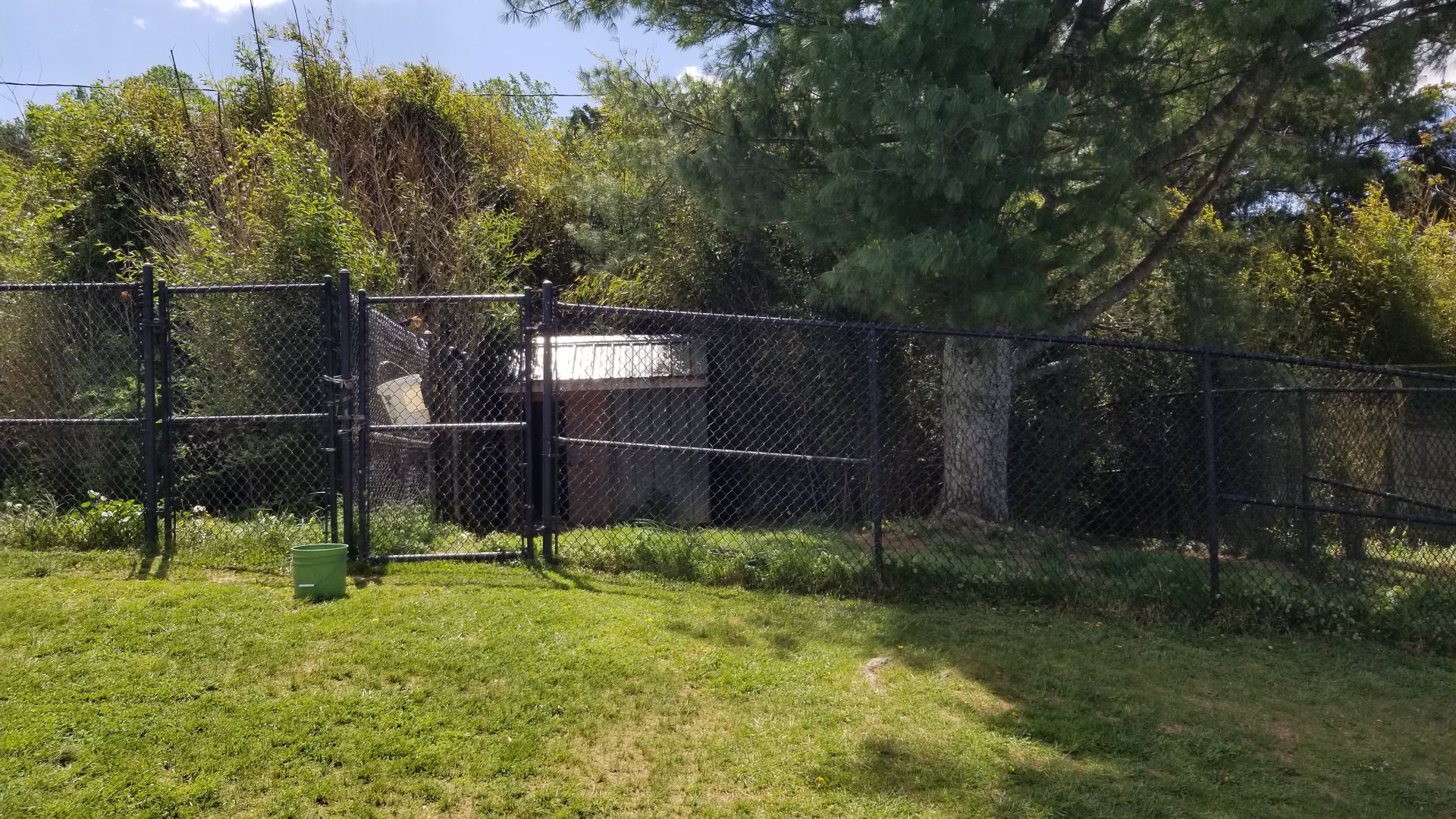 Natural Bridge Zoo - Cassowary exhibit #1 of 2