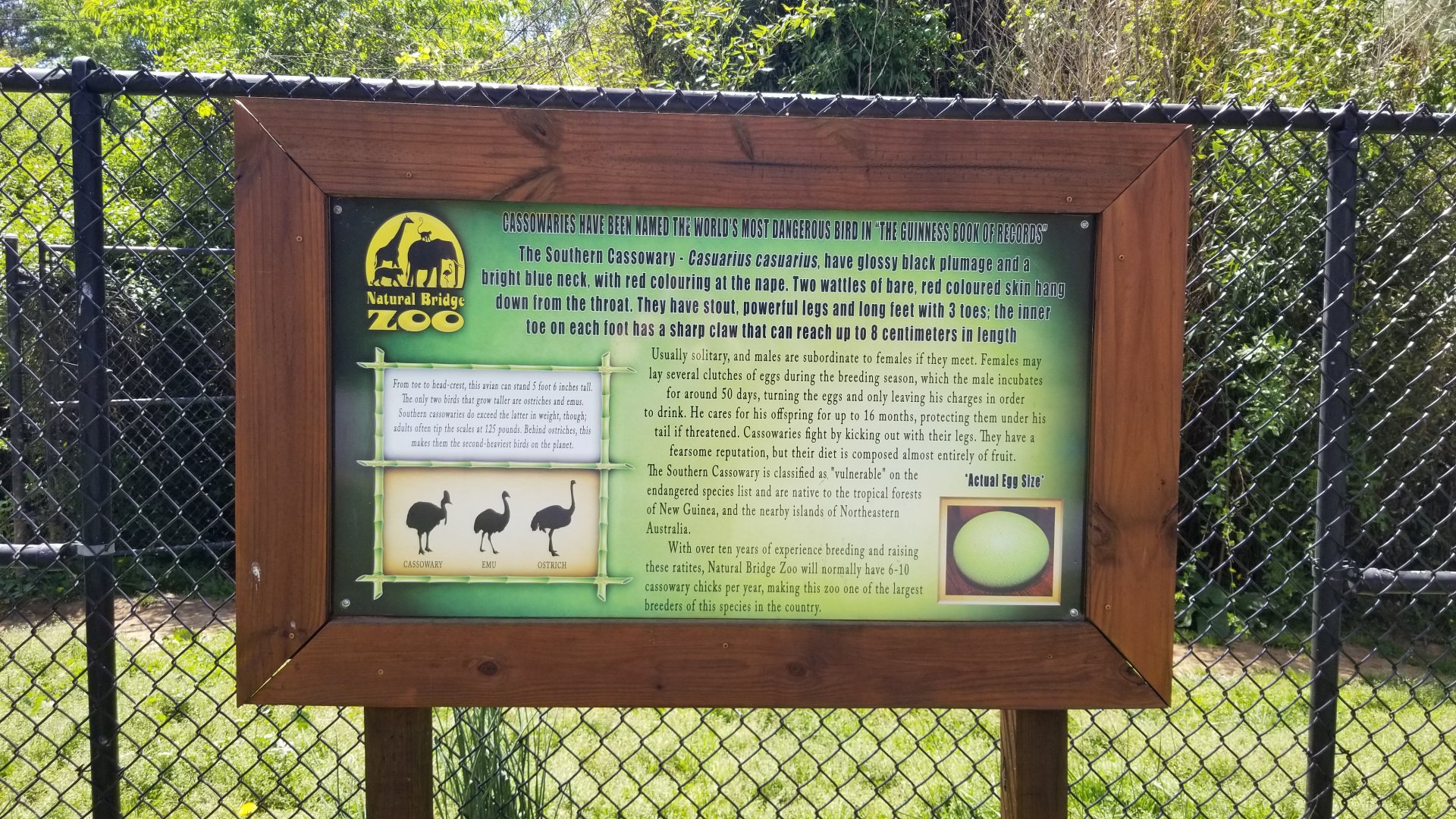 Natural Bridge Zoo - Cassowary sign
