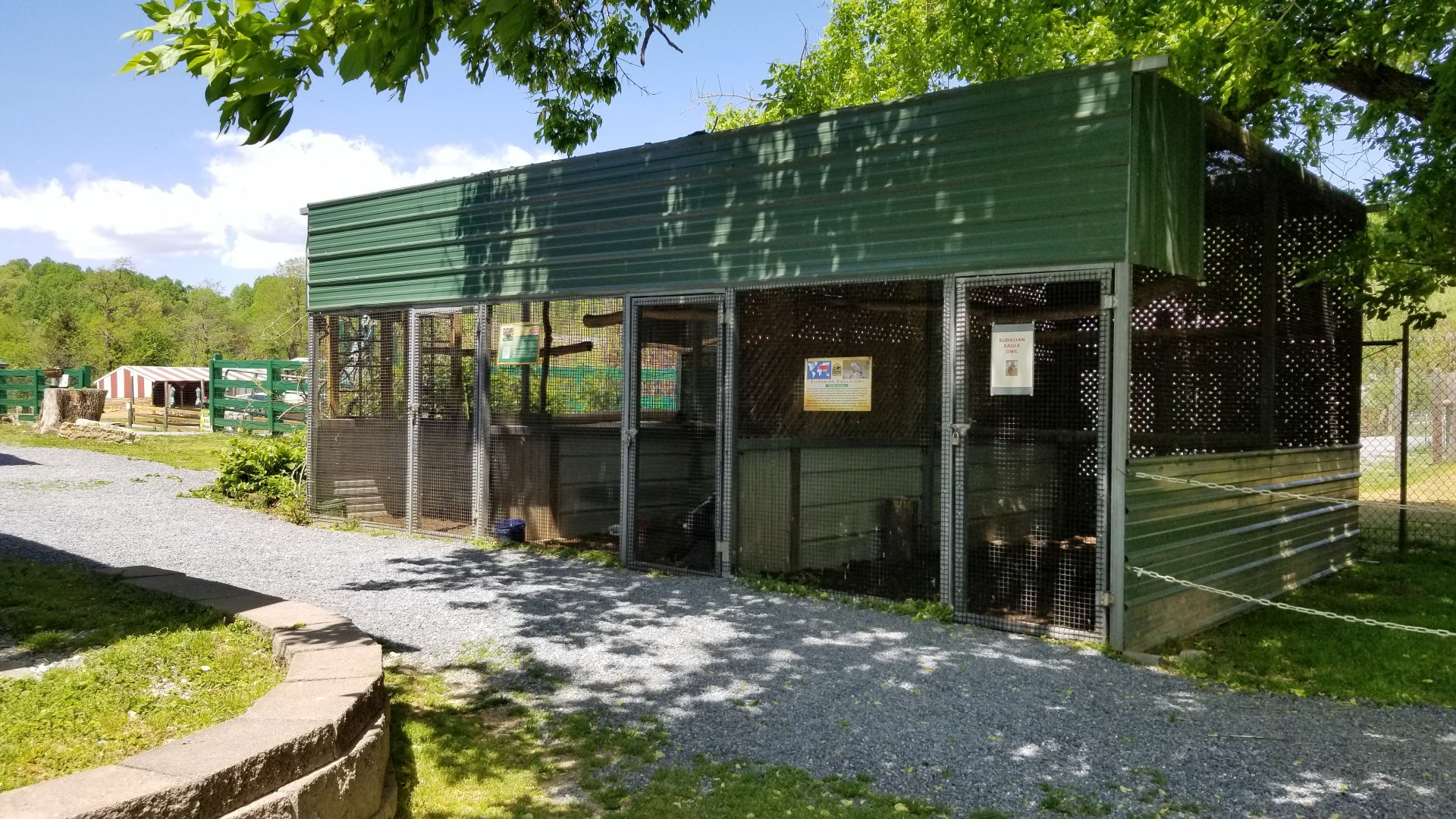 Natural Bridge Zoo - Eagle Owl, Ground Hornbill