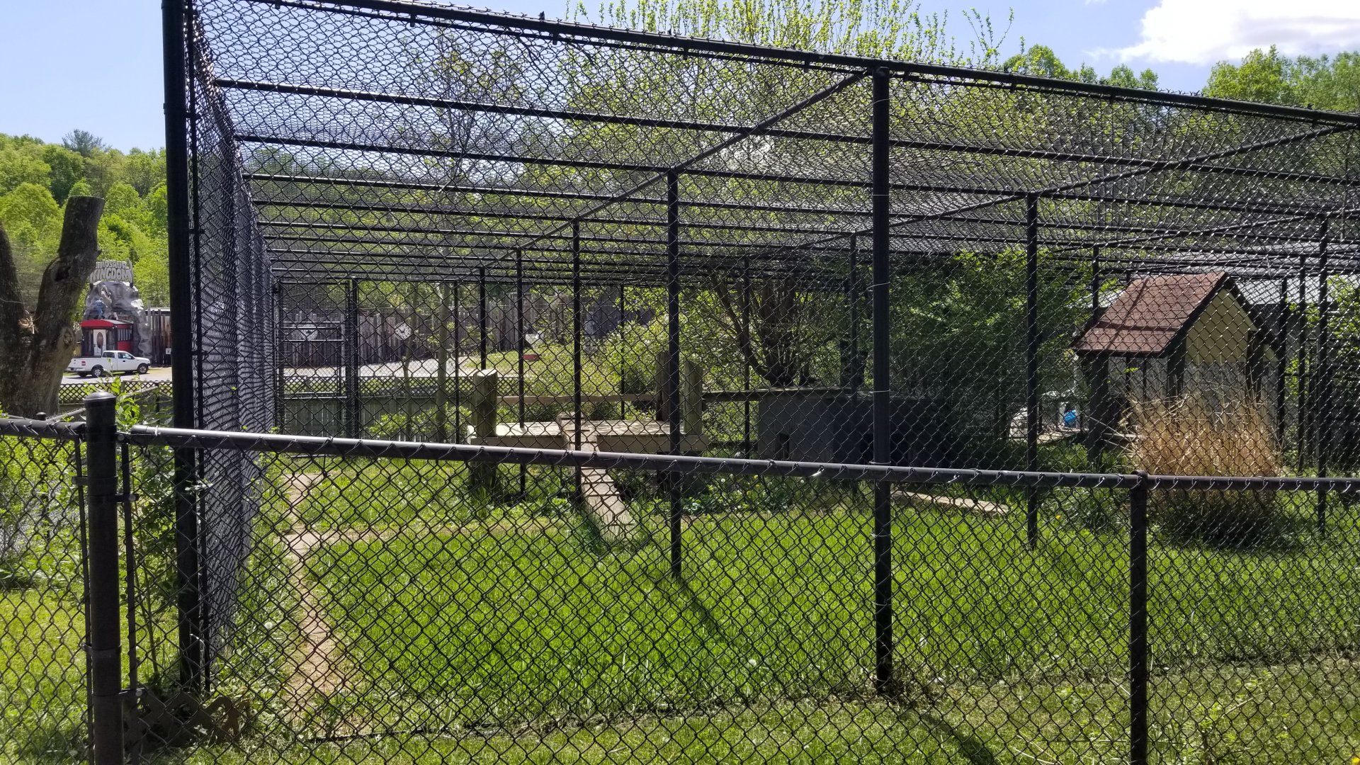 Natural Bridge Zoo - Eurasian lynx exhibit