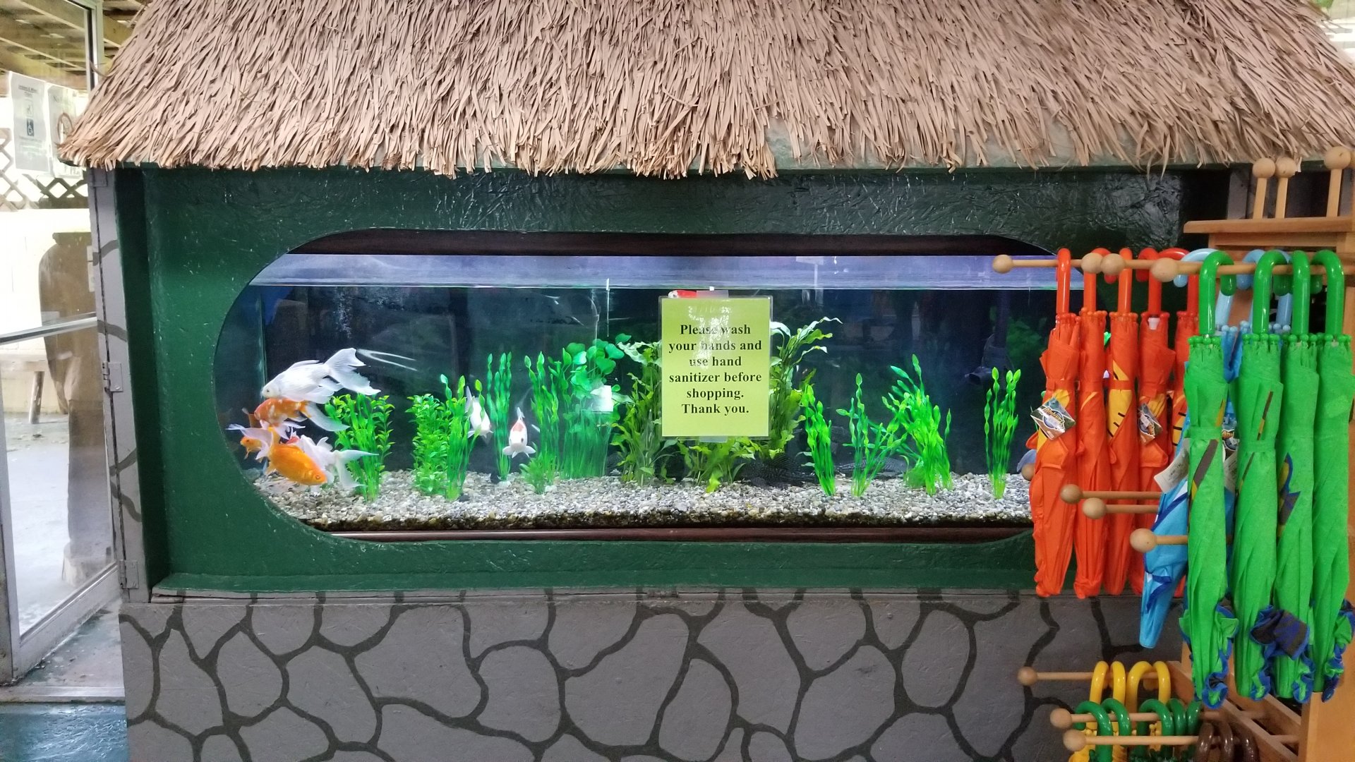 Natural Bridge Zoo - Goldfish and plecos