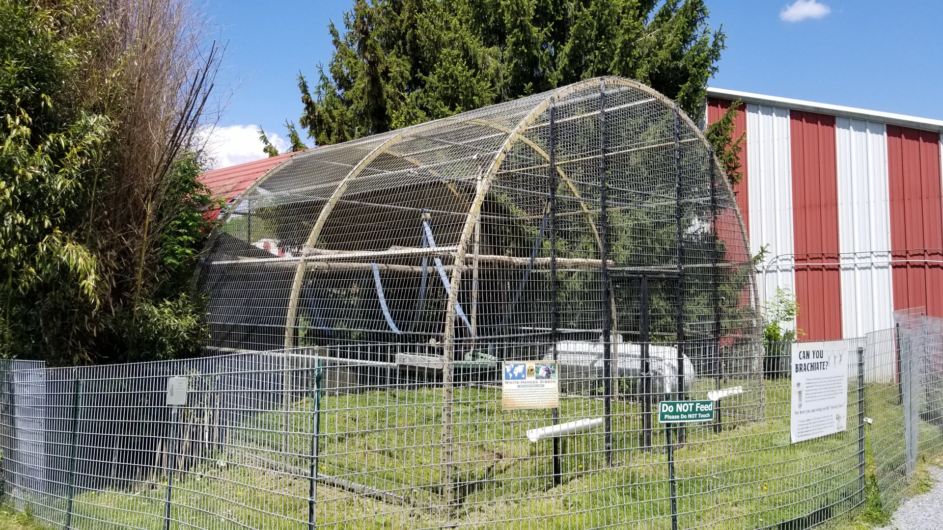 Natural Bridge Zoo - Lar gibbon exhibit #1