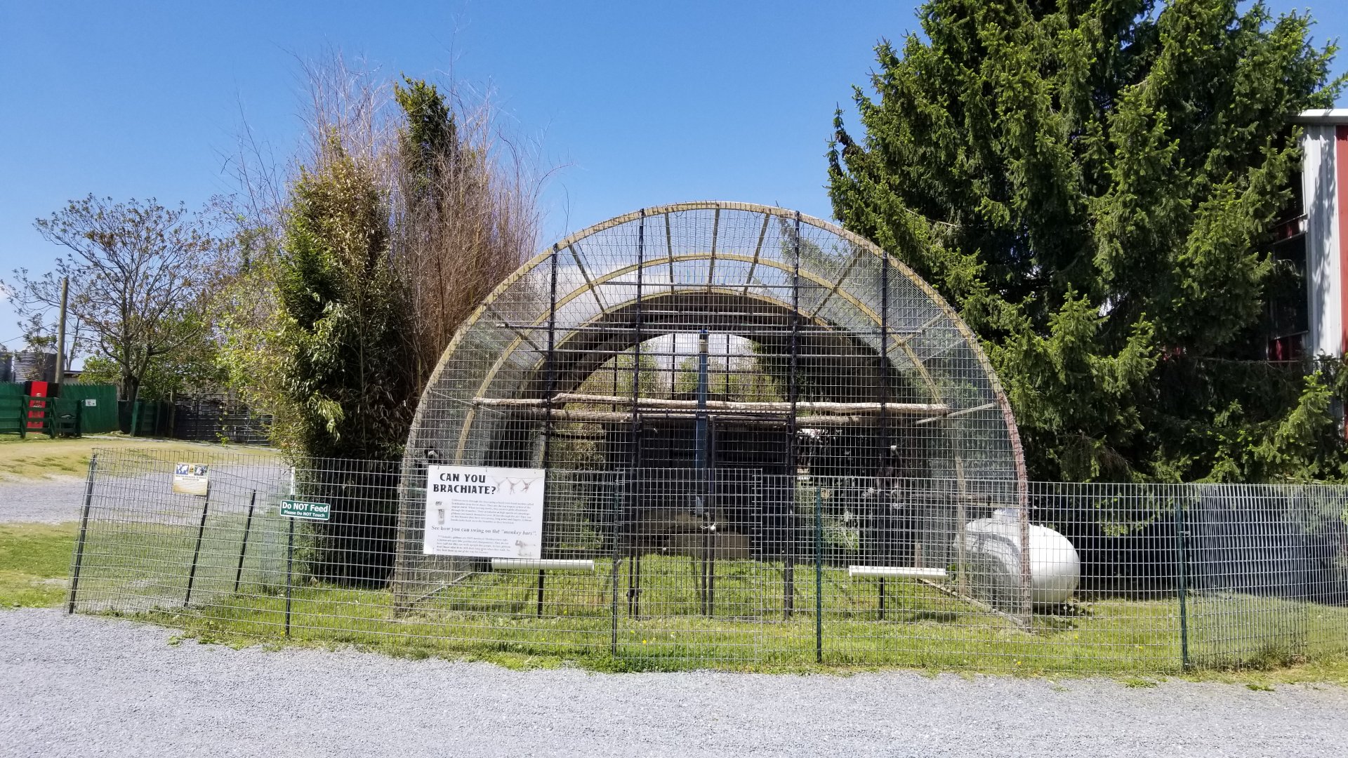 Natural Bridge Zoo - Lar gibbon exhibit #1
