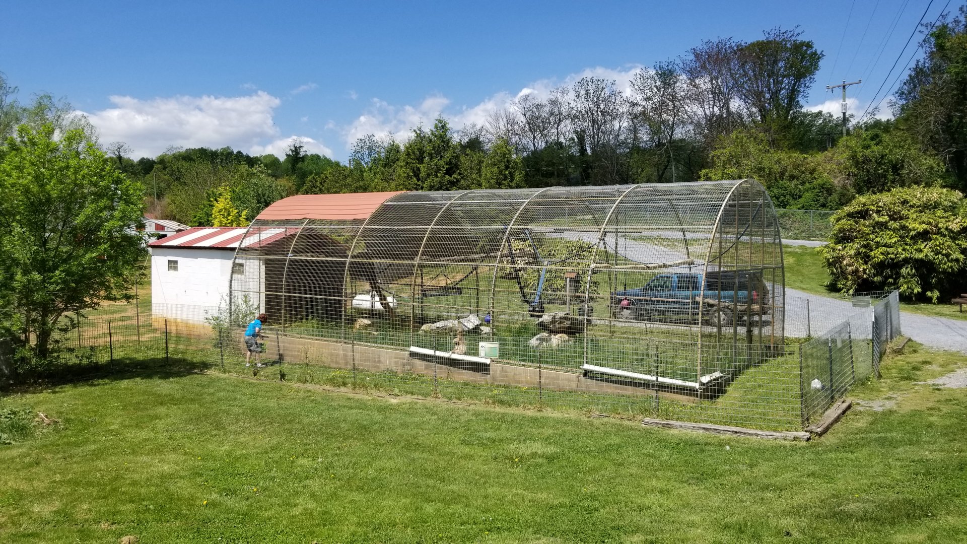 Natural Bridge Zoo - Lar gibbon exhibit #2