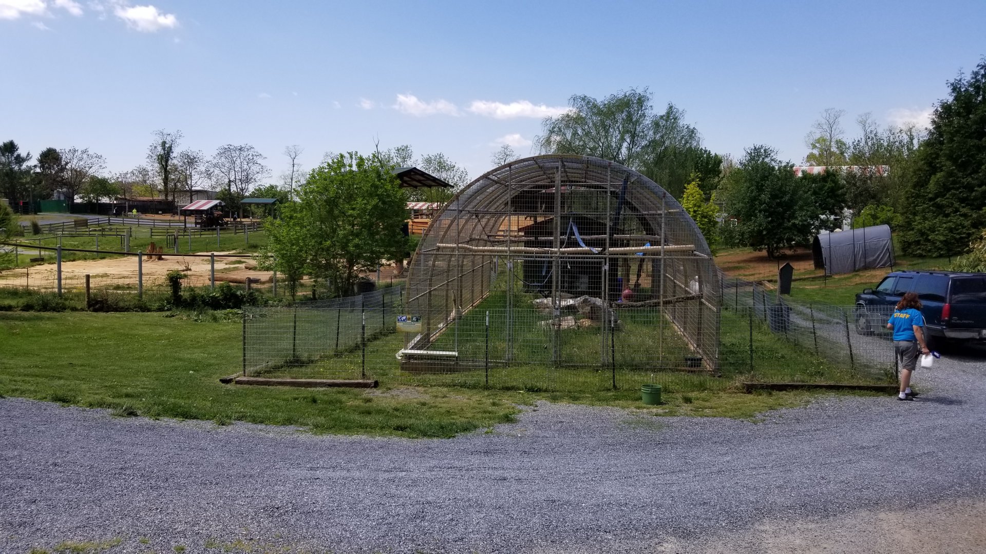 Natural Bridge Zoo - Lar gibbon exhibit #2