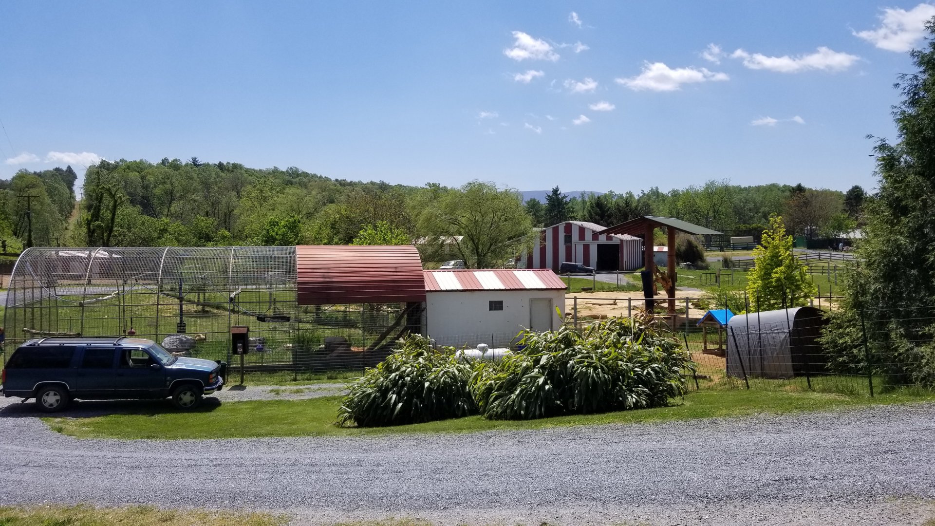 Natural Bridge Zoo - Lar gibbon exhibit #2