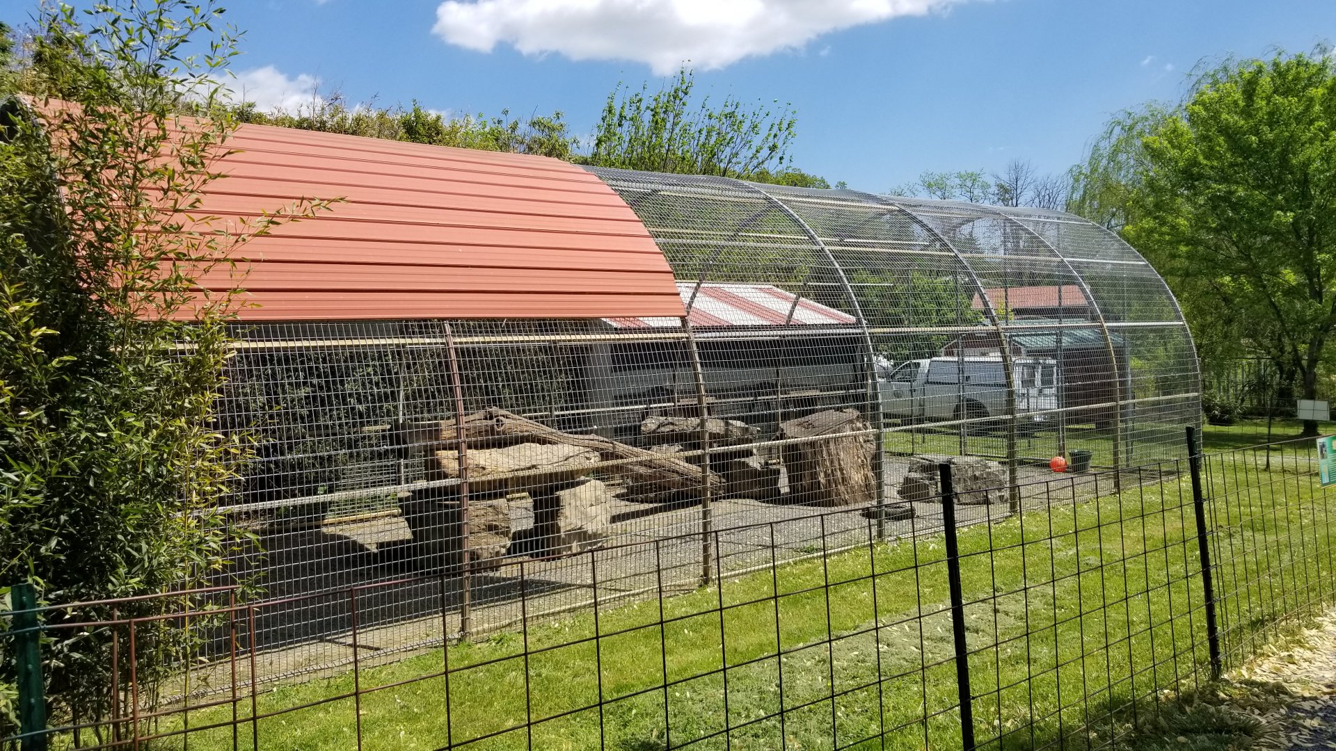 Natural Bridge Zoo - Mandrill