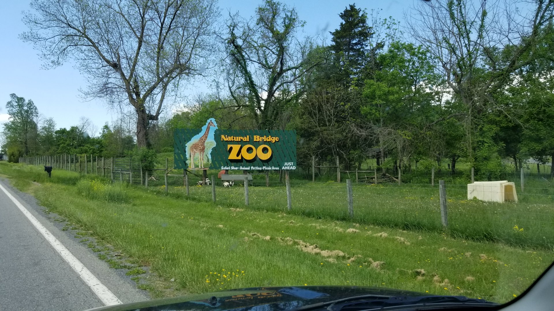 Natural Bridge Zoo - Nearby billboard with goats