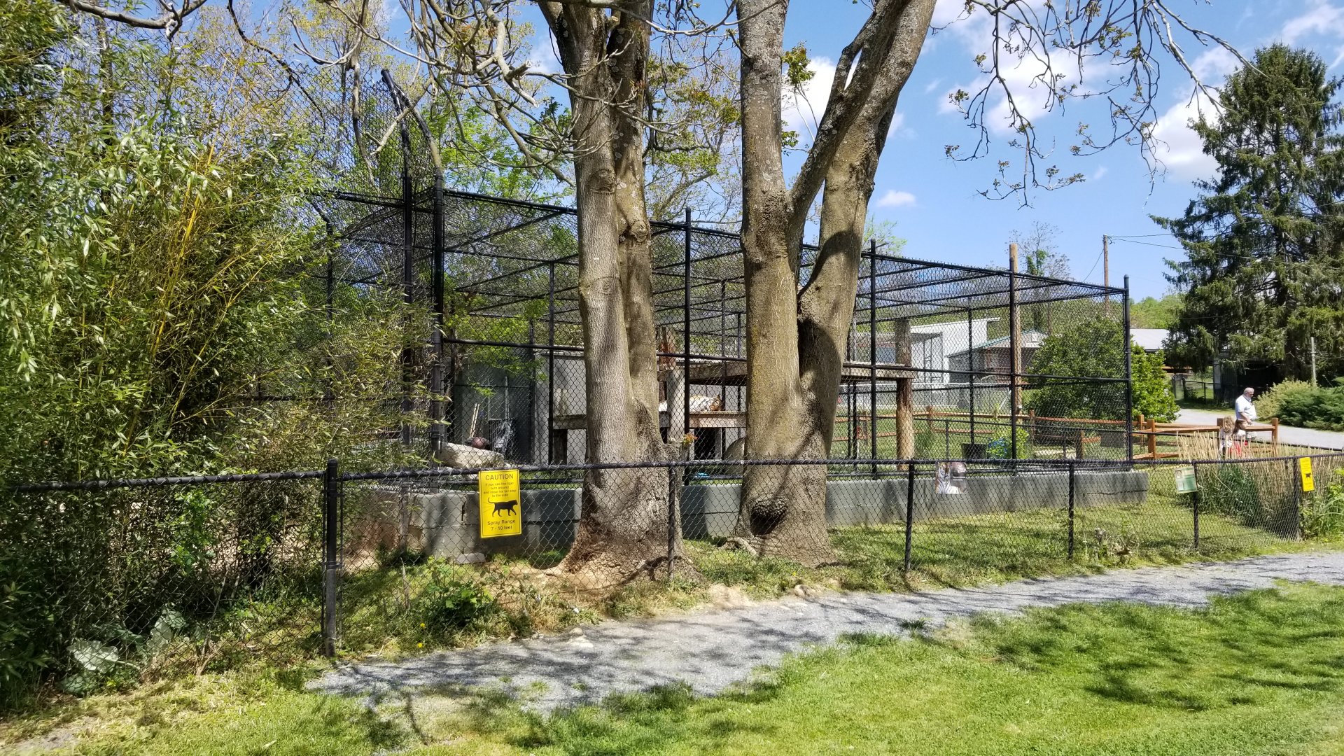 Natural Bridge Zoo - orange Tiger