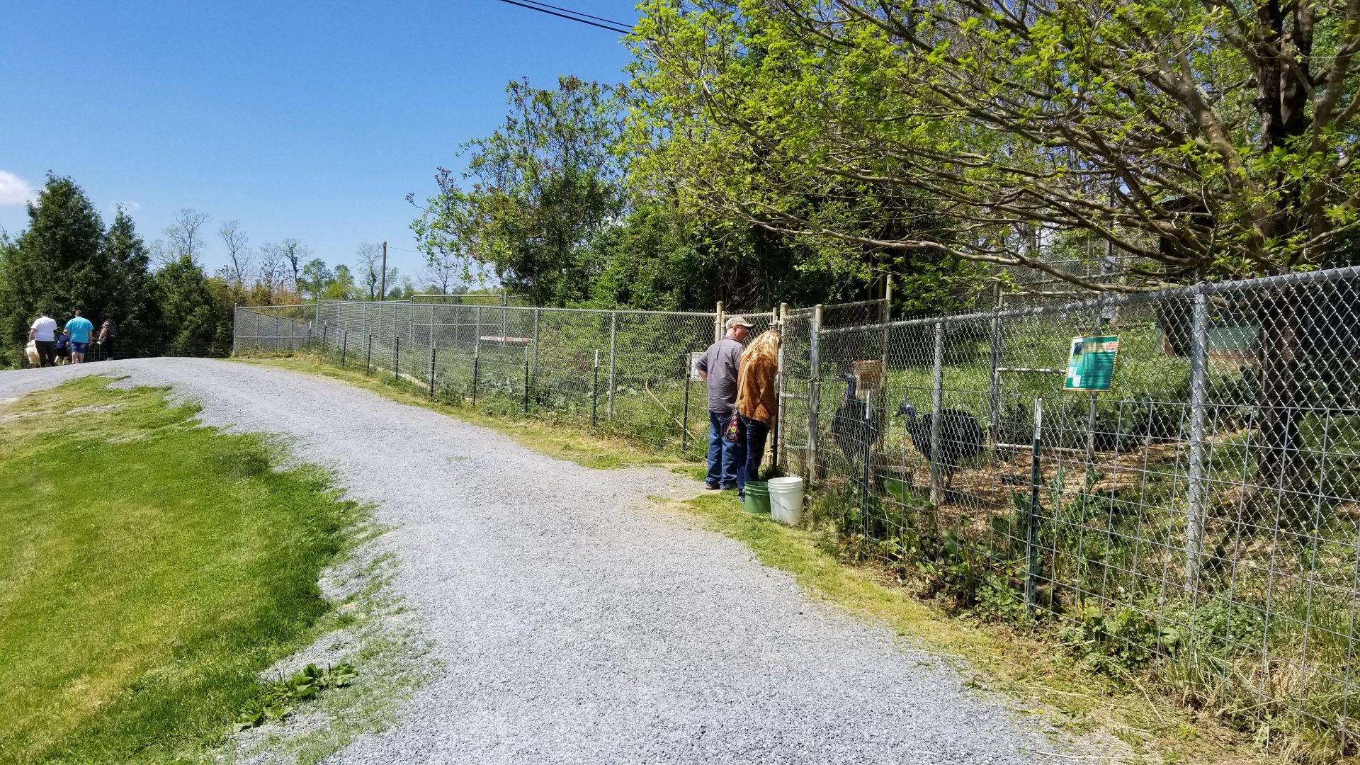 Natural Bridge Zoo - People petting cassowary through fence