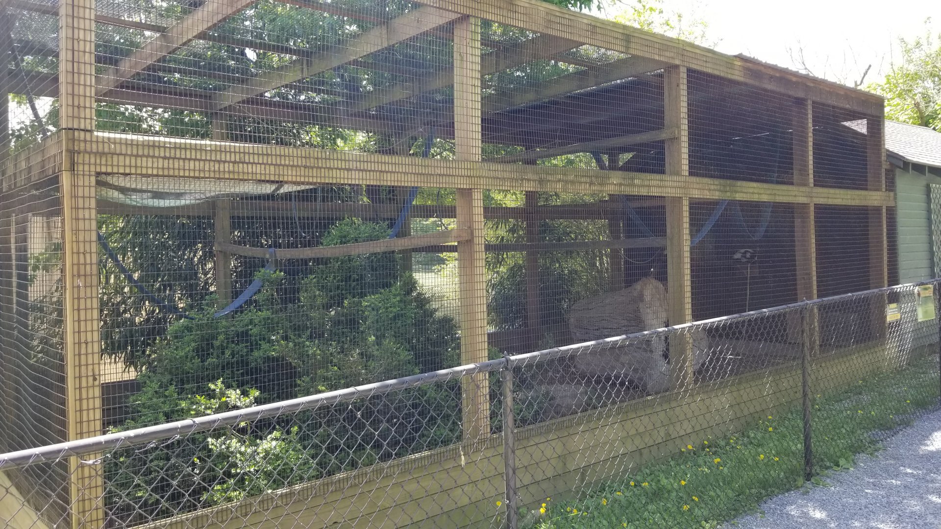 Natural Bridge Zoo - Red ruffed, black & white ruffed lemurs