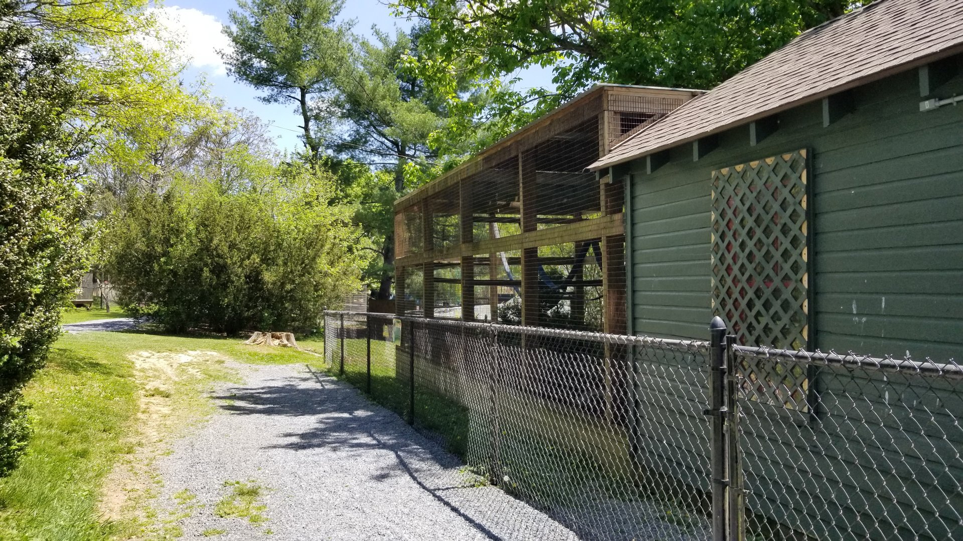 Natural Bridge Zoo - Red ruffed, black & white ruffed lemurs