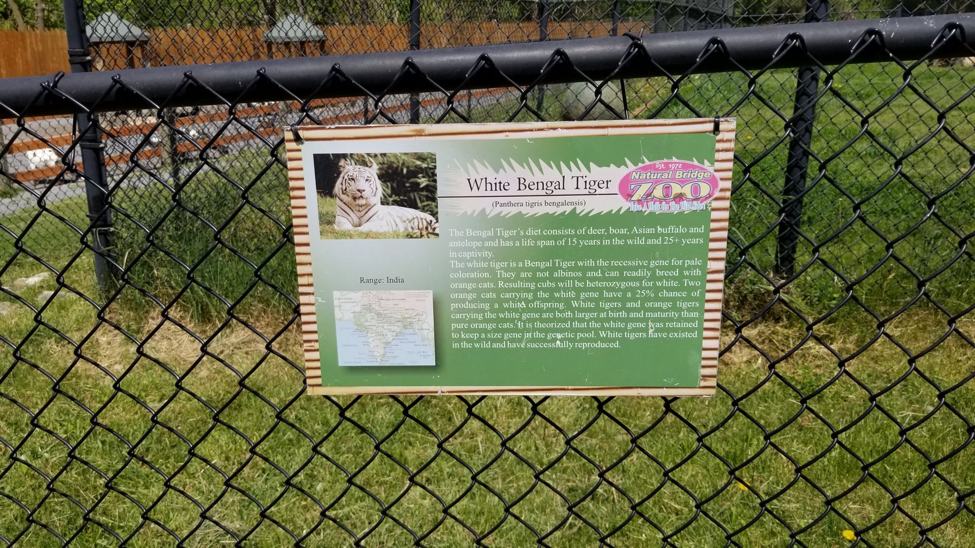 Natural Bridge Zoo - sign example (white Tiger)