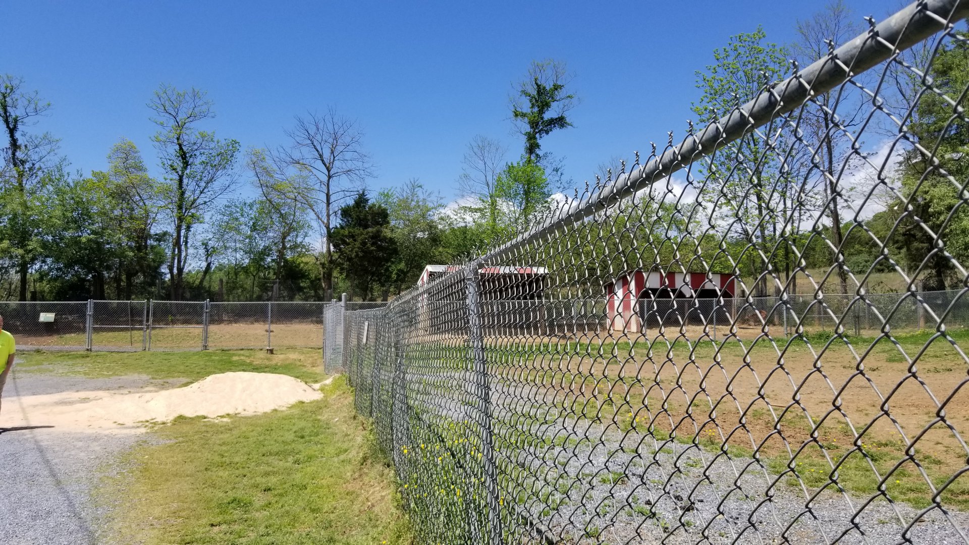 Natural Bridge Zoo - Sitatunga