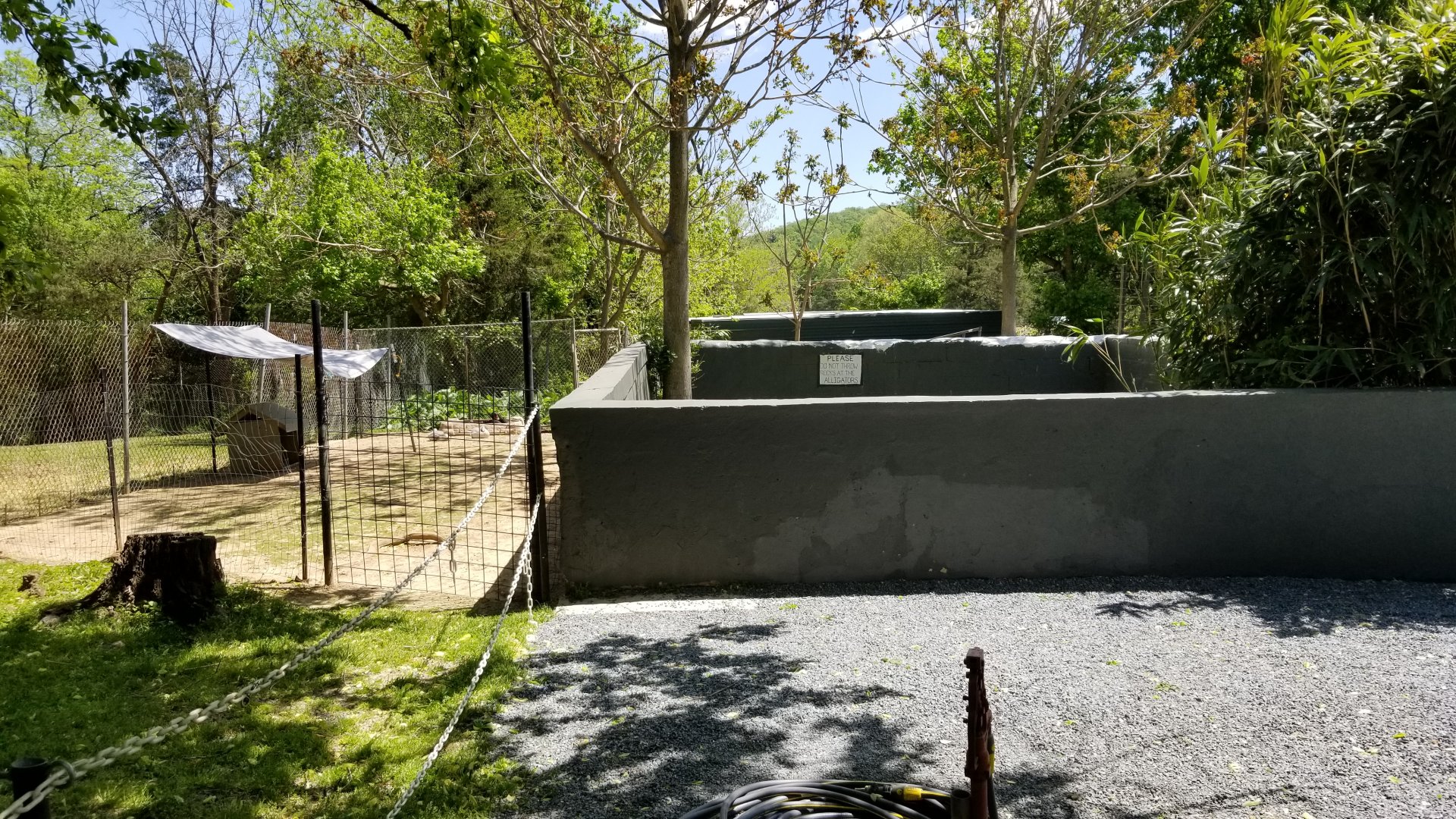 Natural Bridge Zoo - Swan, alligator