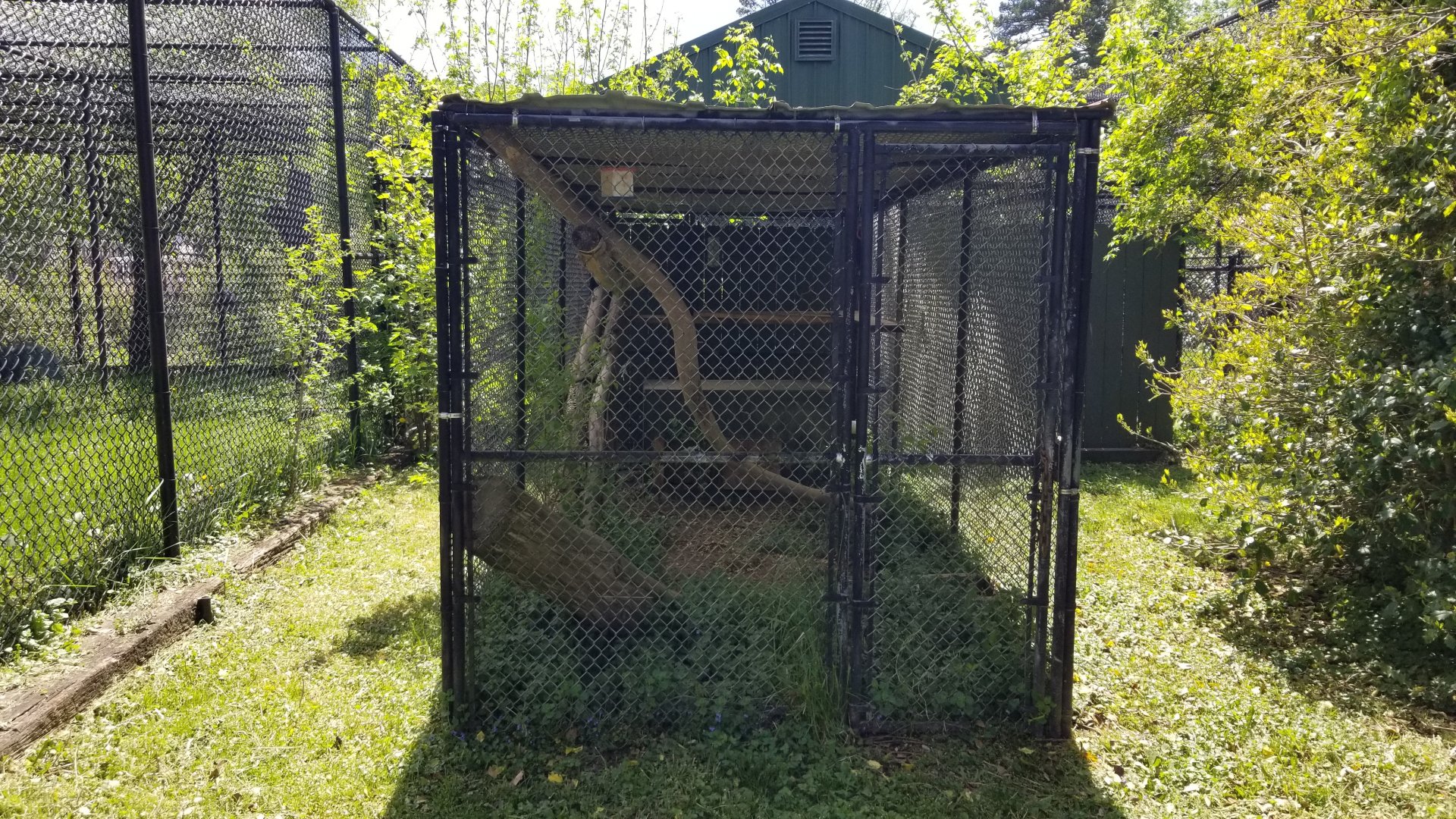 Natural Bridge Zoo - Unsigned, empty?