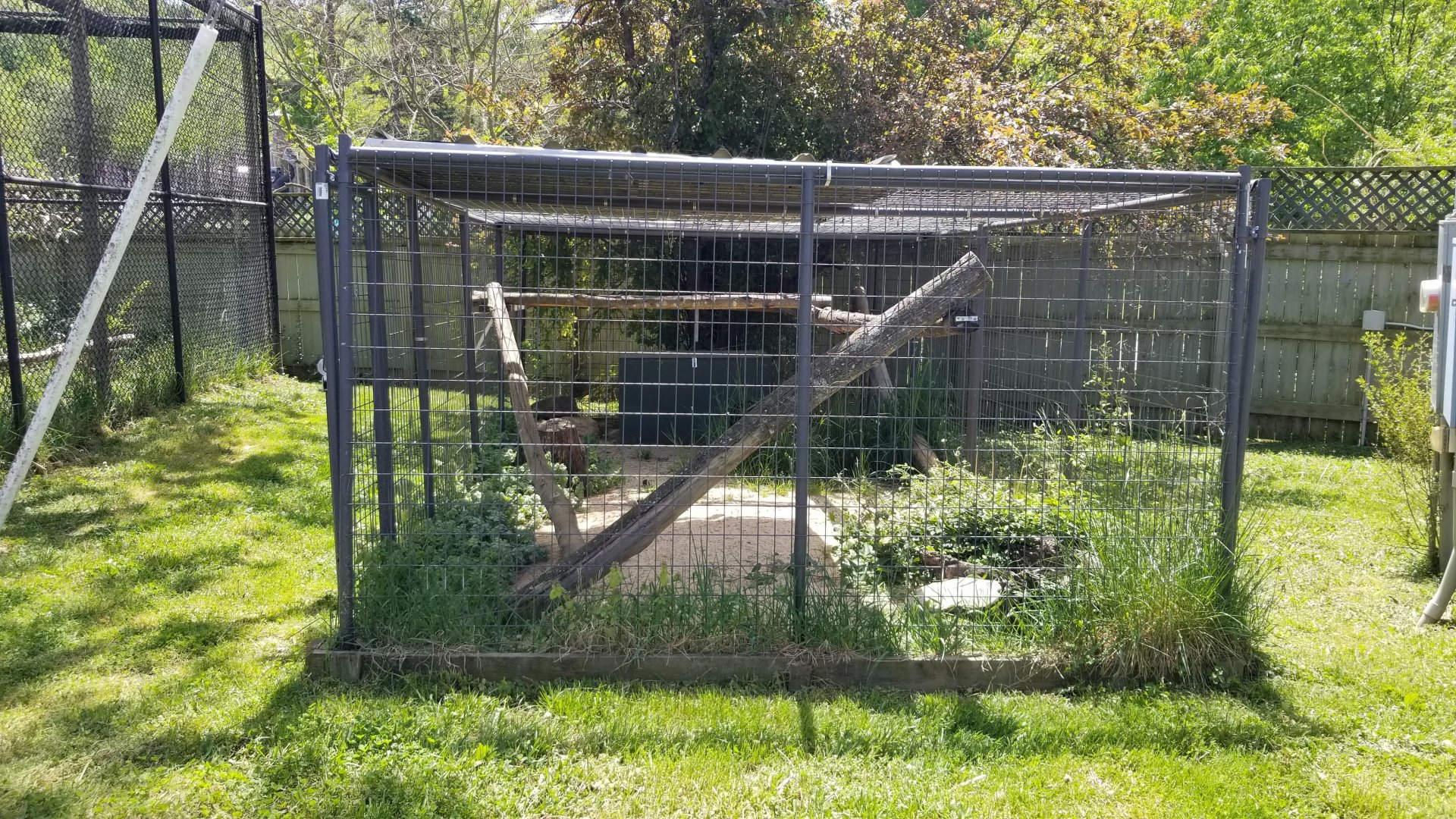 Natural Bridge Zoo - Unsigned, empty?