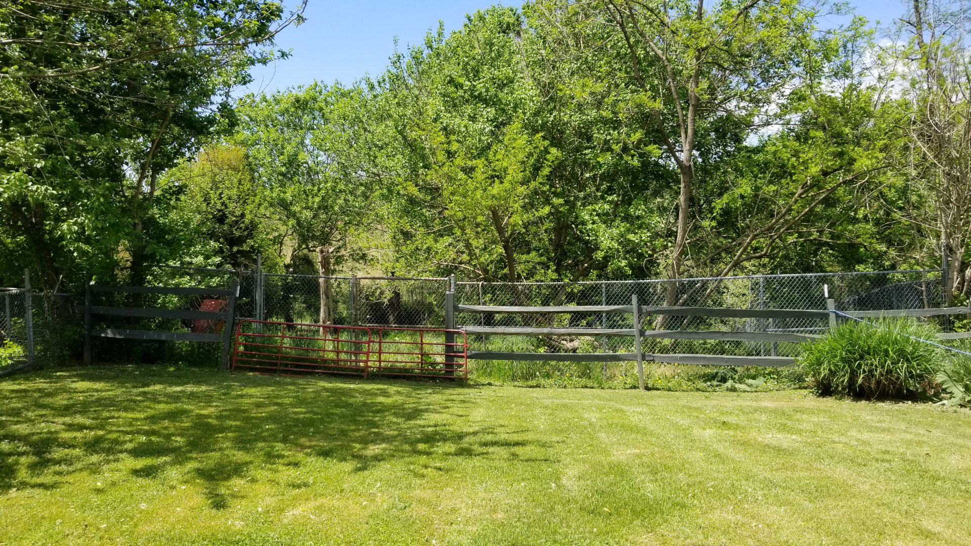 Natural Bridge Zoo - Unsigned, empty?