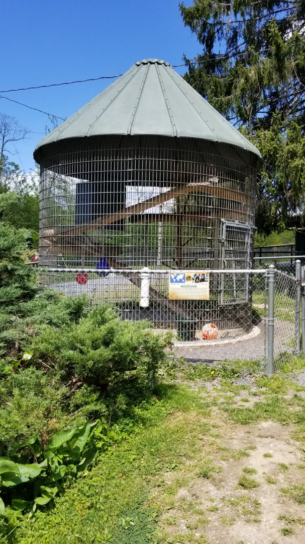 Natural Bridge Zoo - "White-faced Capuchin"