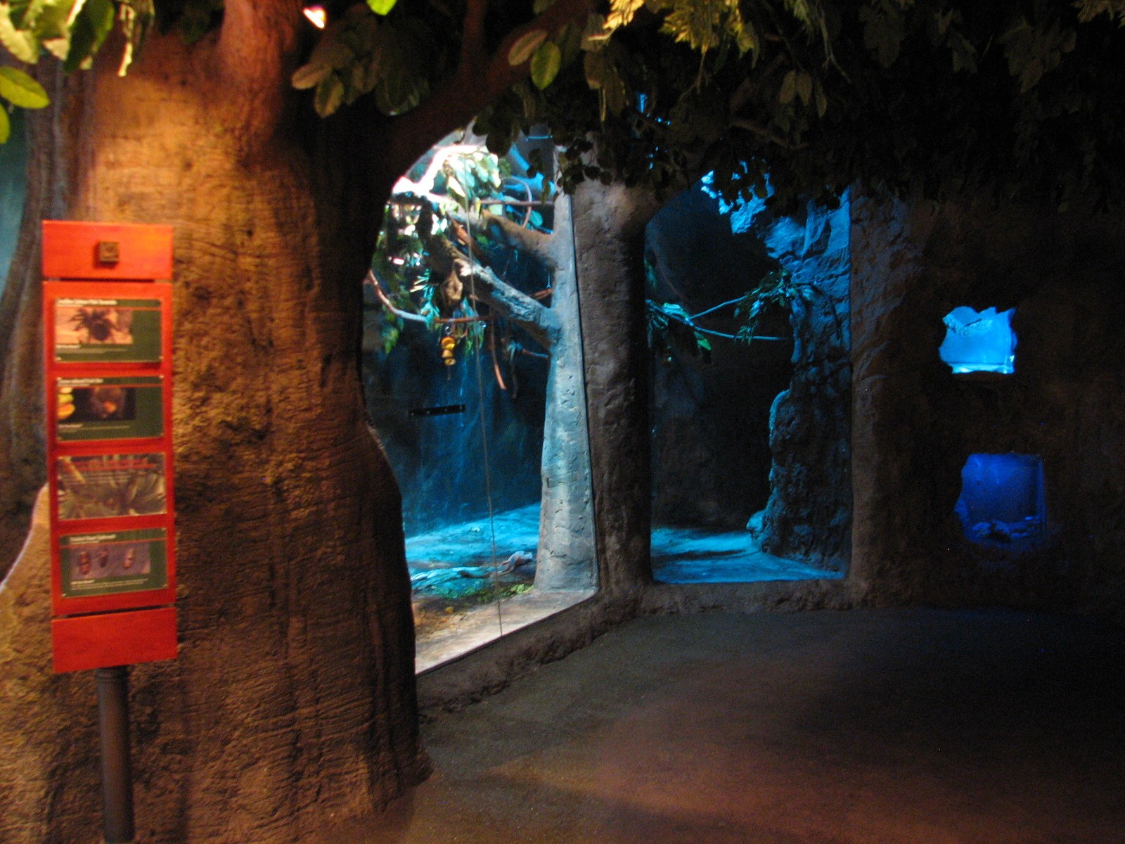 Natural Encounters - Bats Exhibits