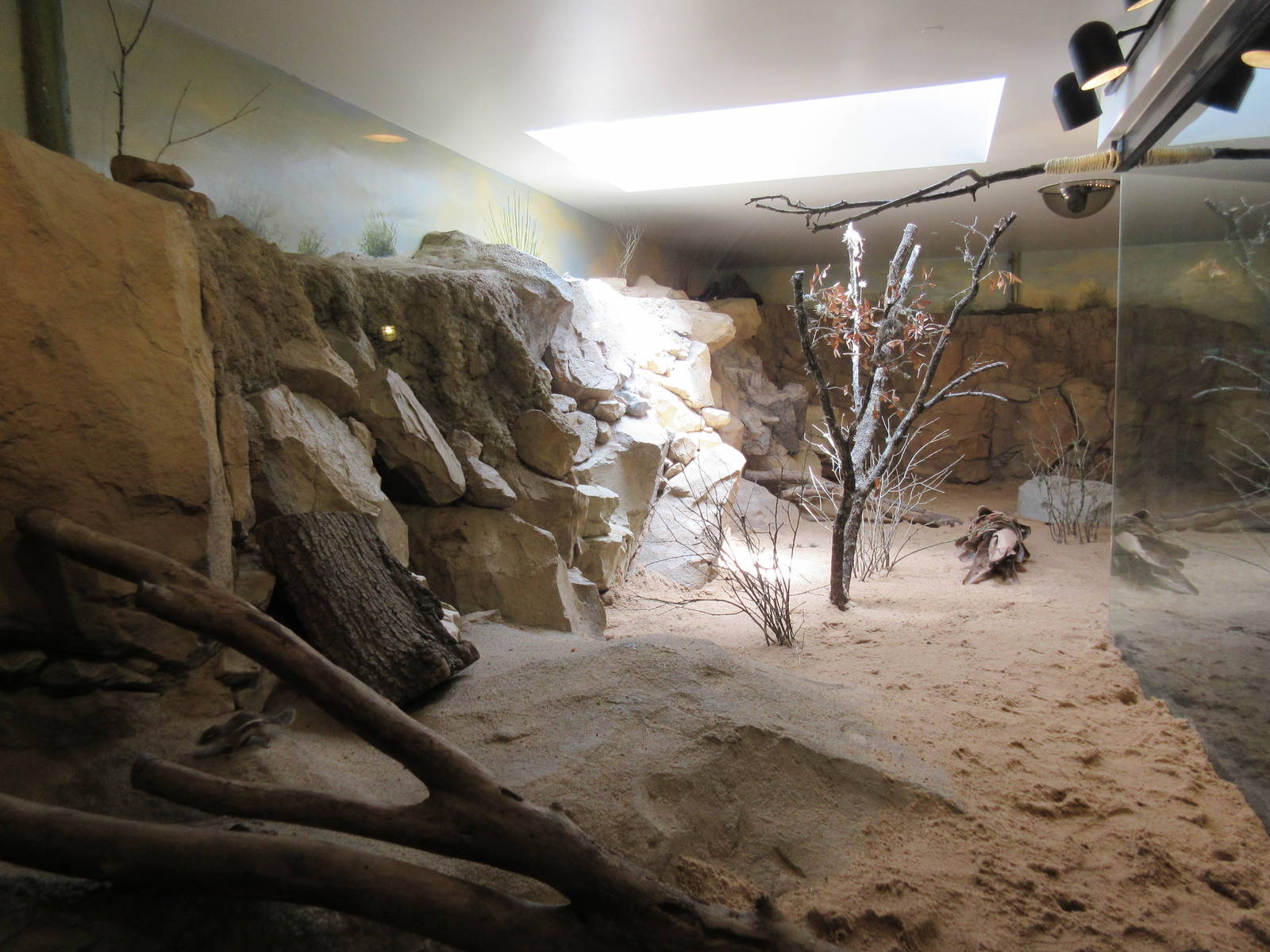 Natural Encounters Building - Crowned Hornbill/Antelope Ground Squirrel Exh