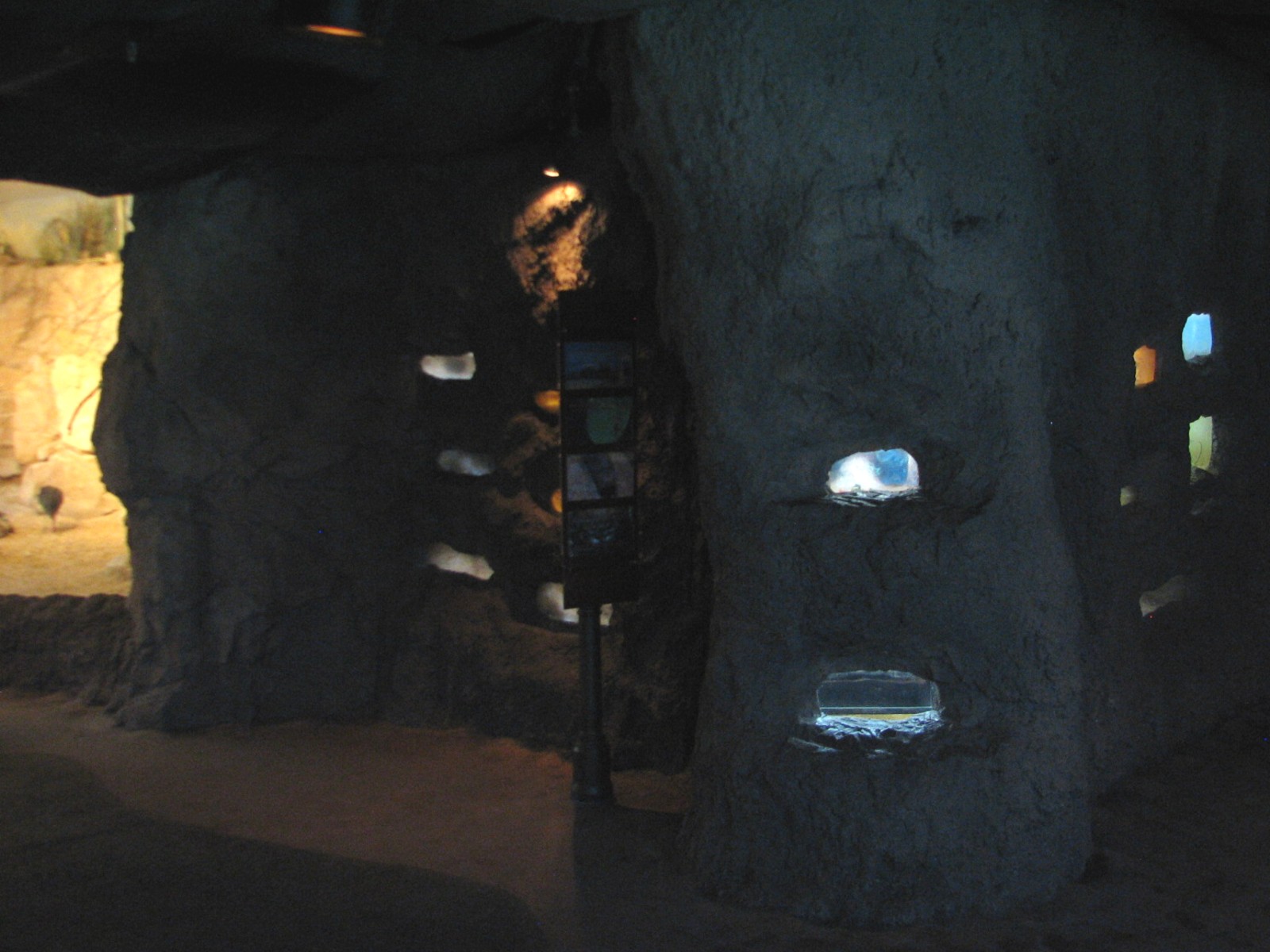 Natural Encounters - Dry Lands - Tunnel Exhibits