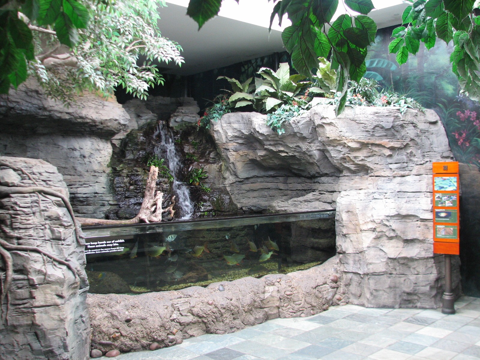 Natural Encounters - Entry Foyer - Snake-necked Turtle and Freshwater Fish