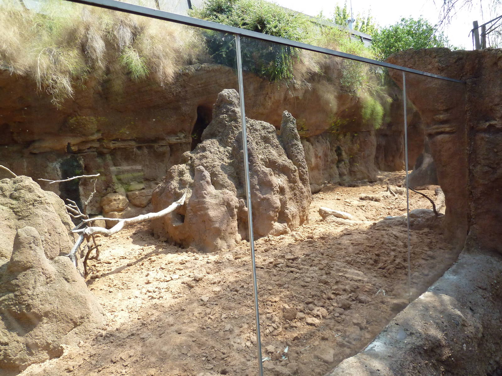 Natural Encounters - Meerkat Exhibit