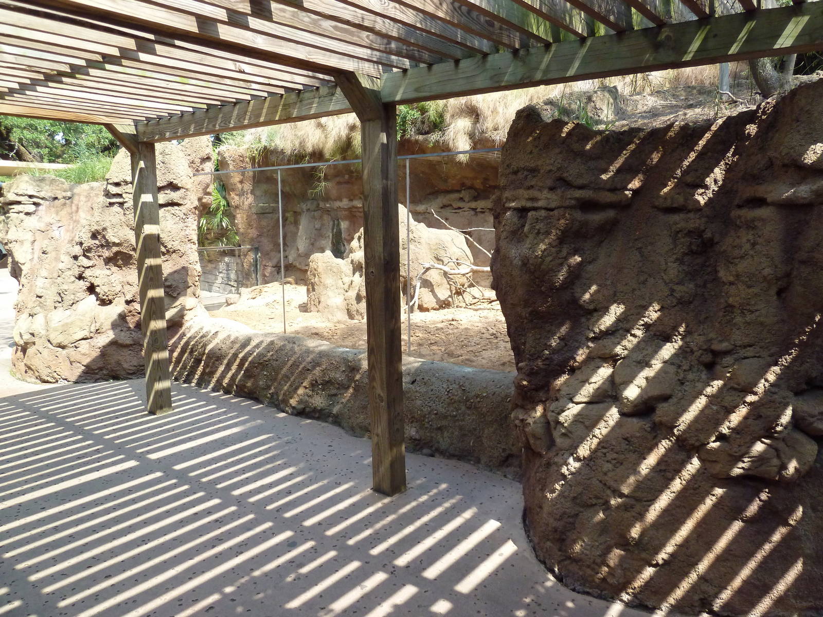 Natural Encounters - Meerkat Exhibit