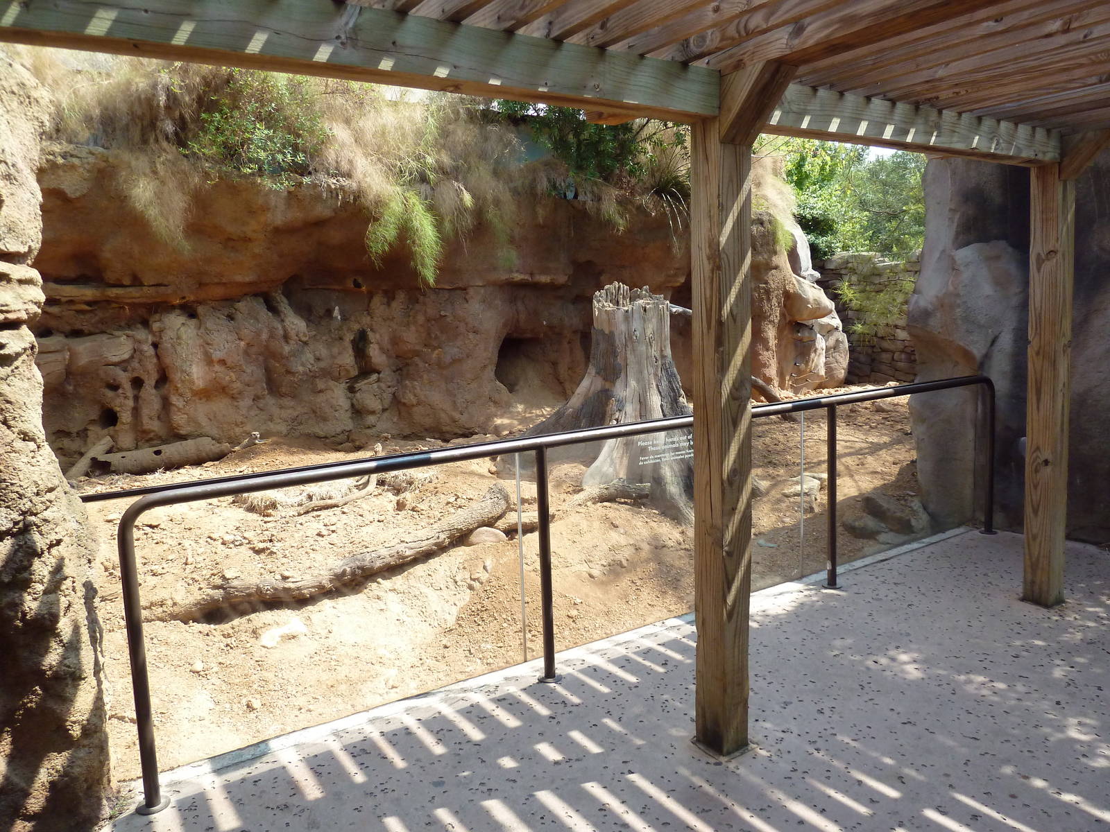 Natural Encounters - Meerkat Exhibit