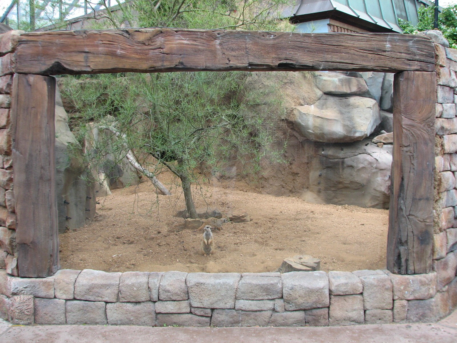Natural Encounters - Meerkat Exhibit