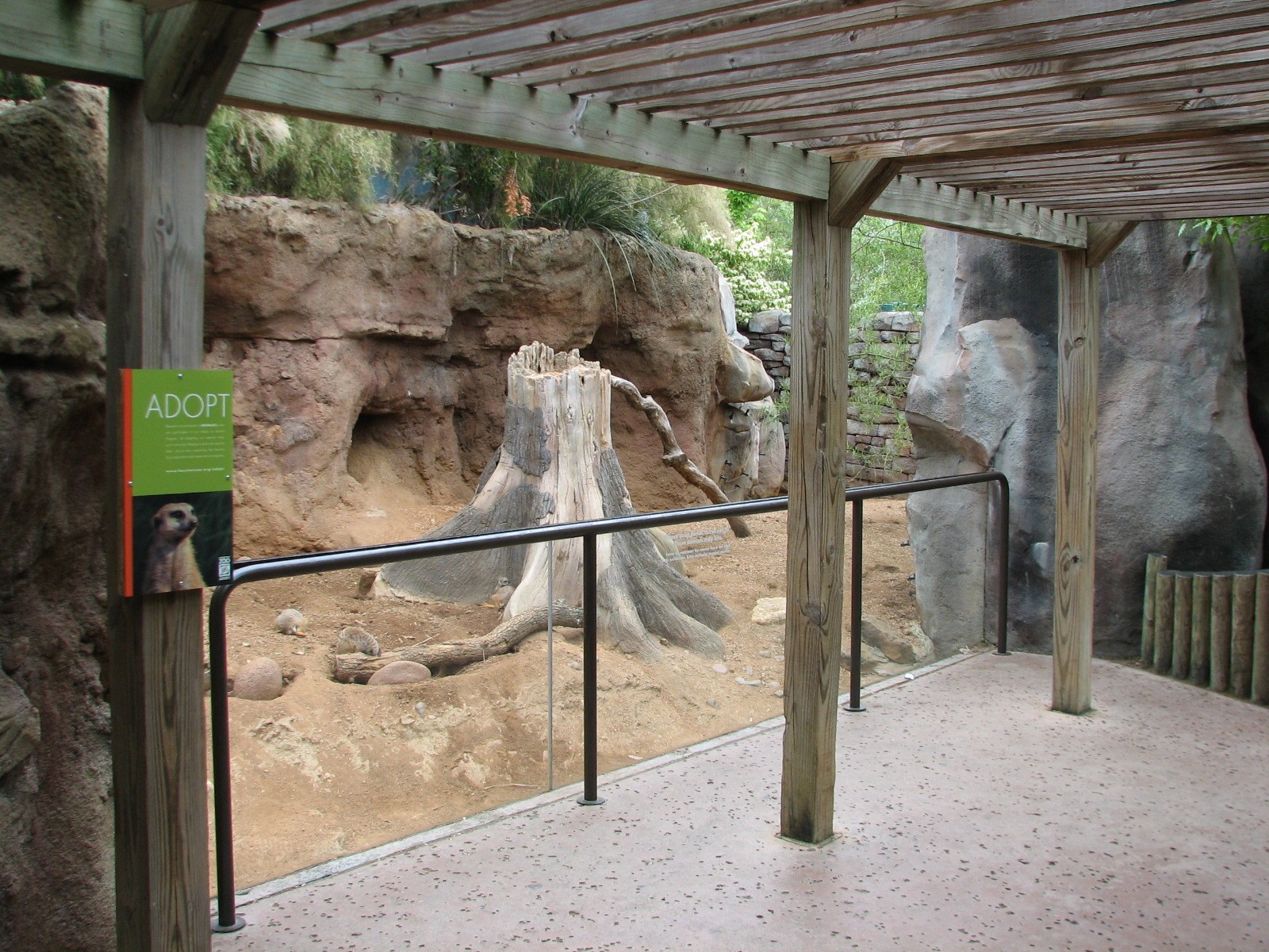 Natural Encounters - Meerkat Exhibit
